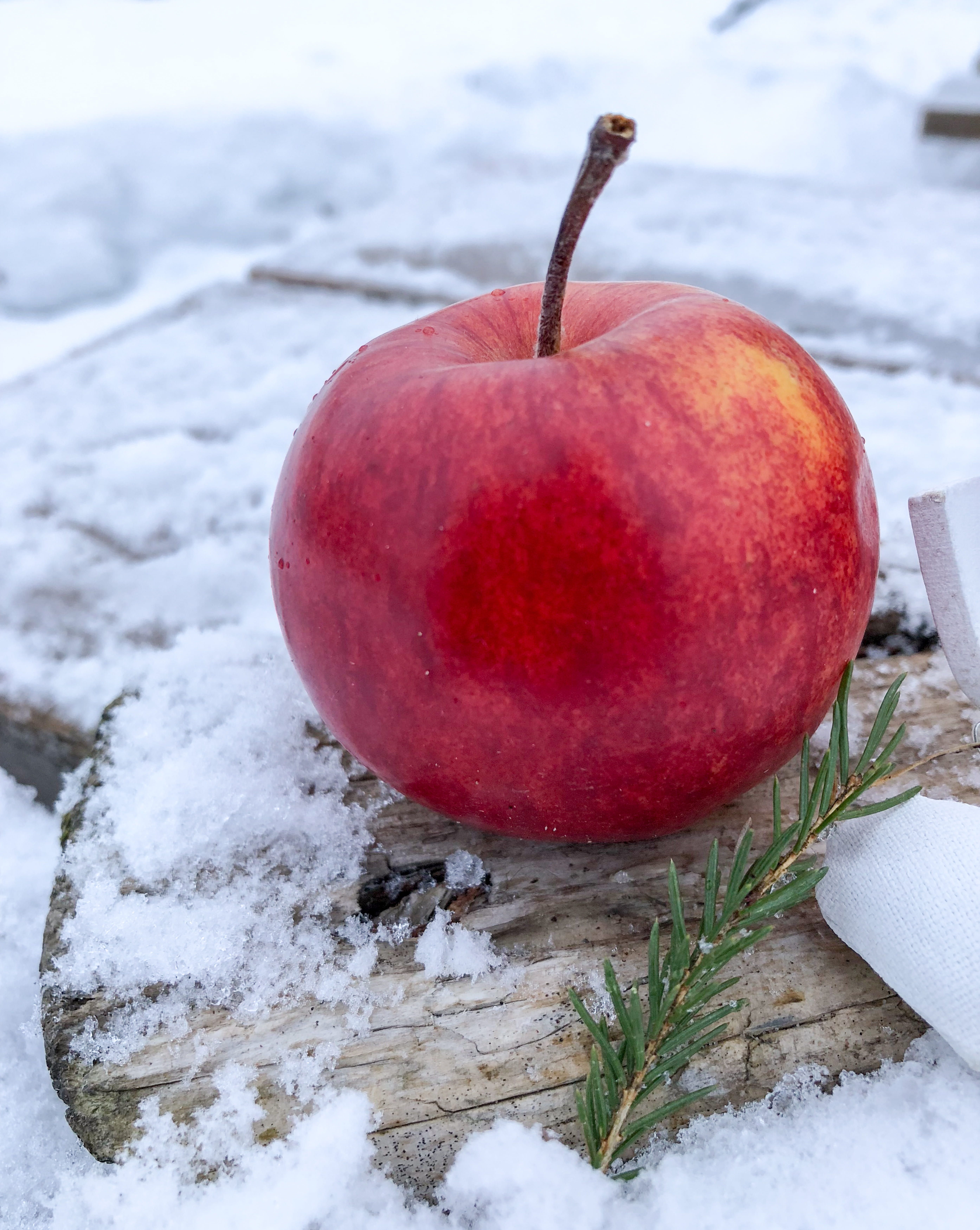 frozen, food, healthy, apple - fruit, winter, close-up, day, freshness, red apple, still life, snow, cold temperature, honeycrisp, healthy eating, no people, Phone HD Wallpaper
