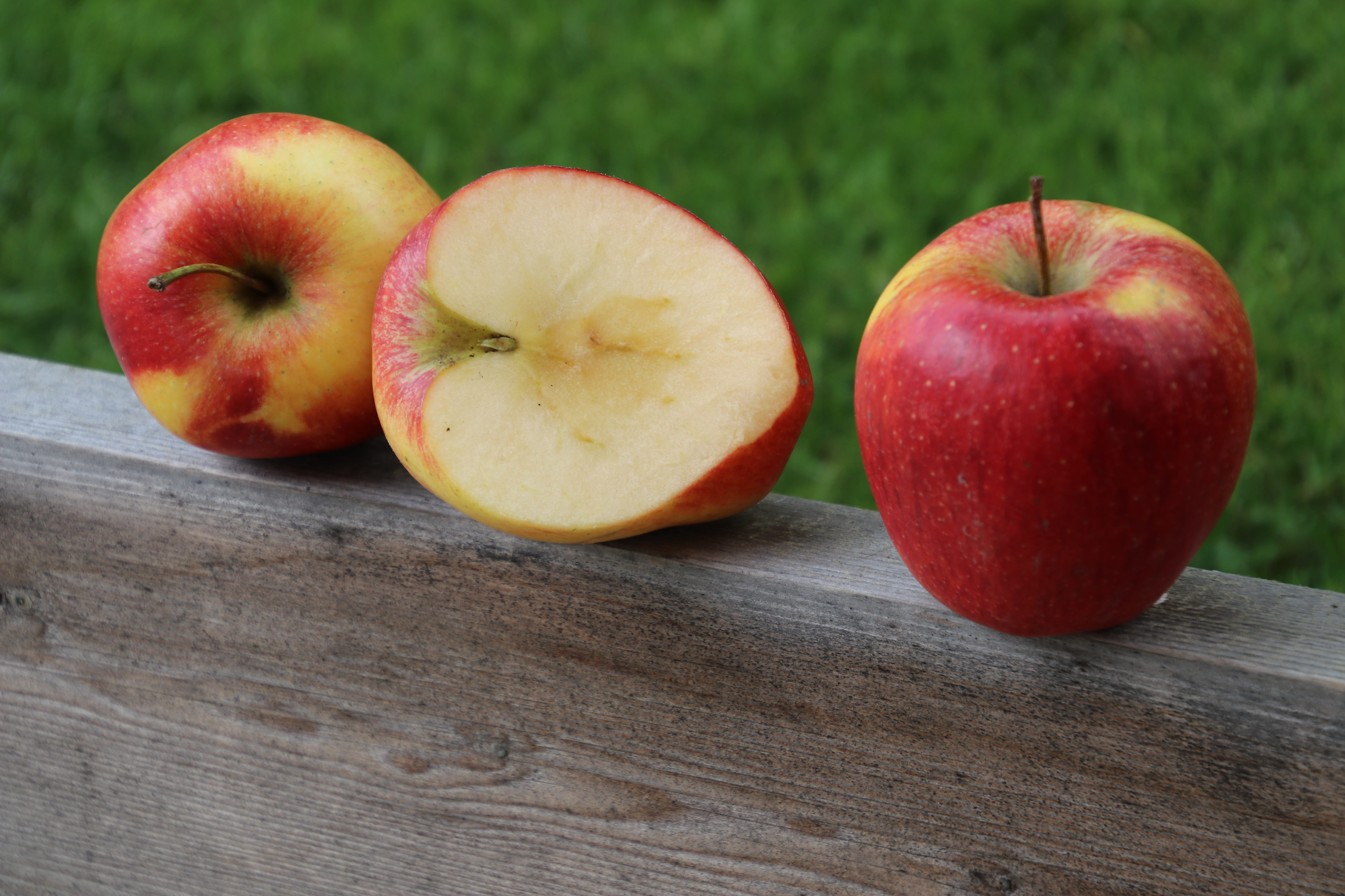 no people, red, healthy food, honeycrisp, focus on foreground, high angle view, three objects, antioxidant, sweet, half of the fruit, a healthy diet, apples, HD Wallpaper