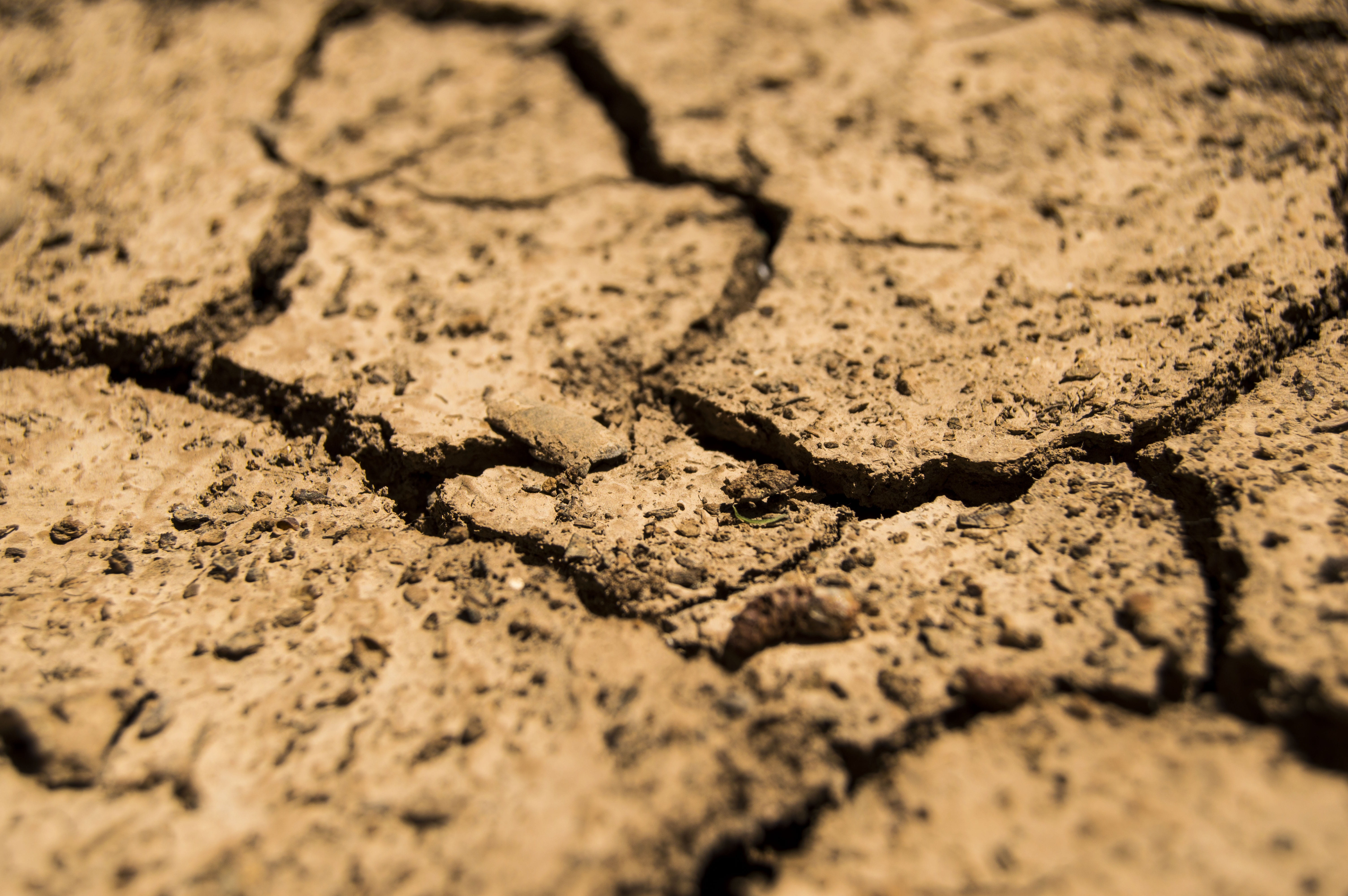 backgrounds, no people, aridity, soil, full frame, arid climate, 5K, dirt, day, mud, pattern, quartered, surface level, earth, cracked, sunlight, scenics - nature, HD Wallpaper
