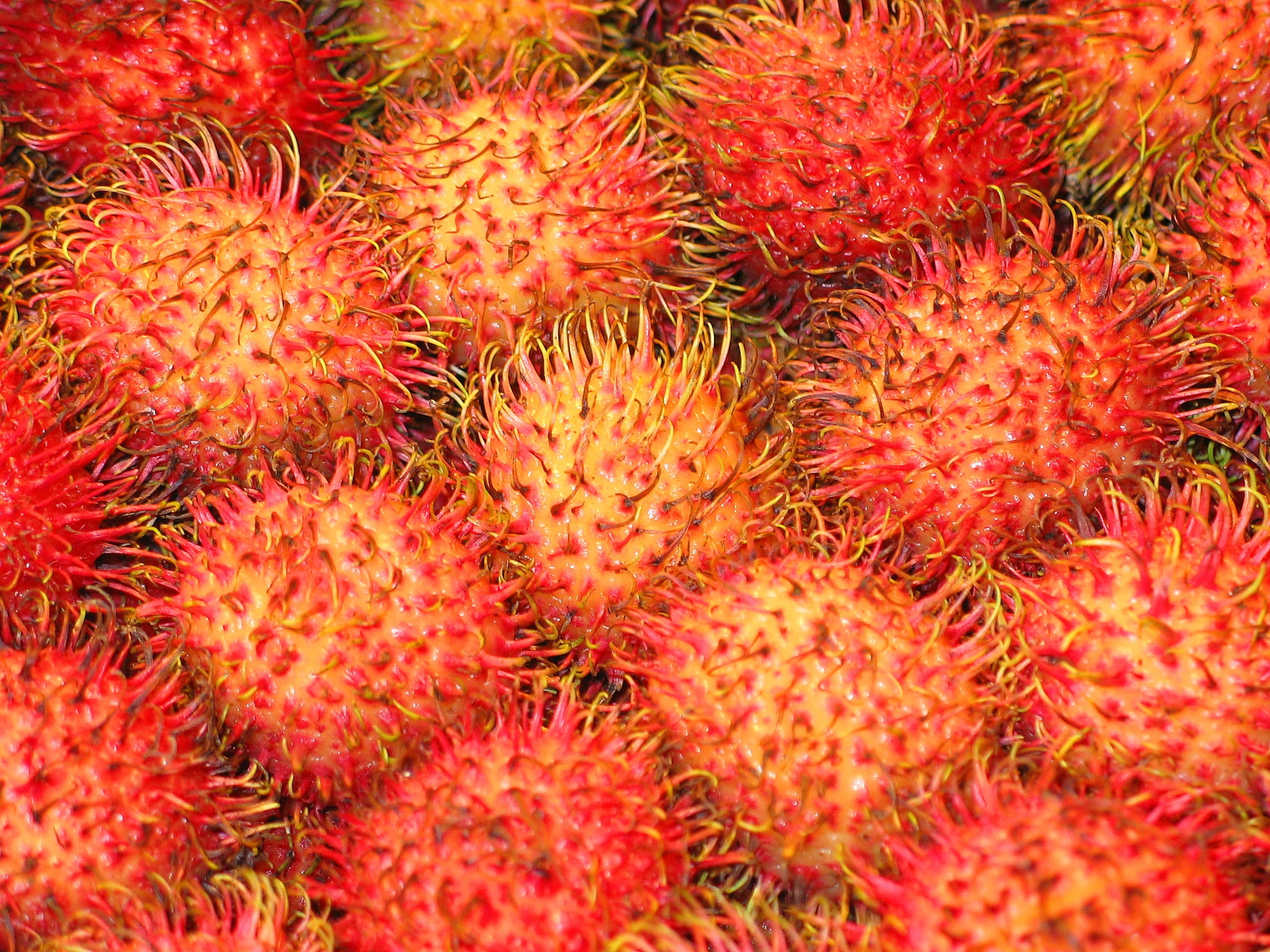 drink, wellbeing, freshness, dine, 1080P, exotic fruits, full frame, for sale, sweet, close-up, exot, no people, large group of objects, tropical fruit, HD Wallpaper