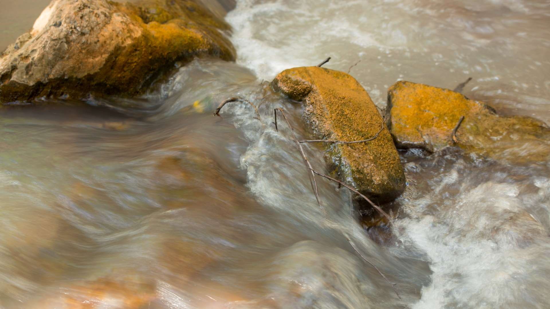 vertebrate, animal, sulpher infused water rushing over rocks in stream, group of animals, nature, water, animal themes, rock - object, motion, rock, solid, HD Wallpaper