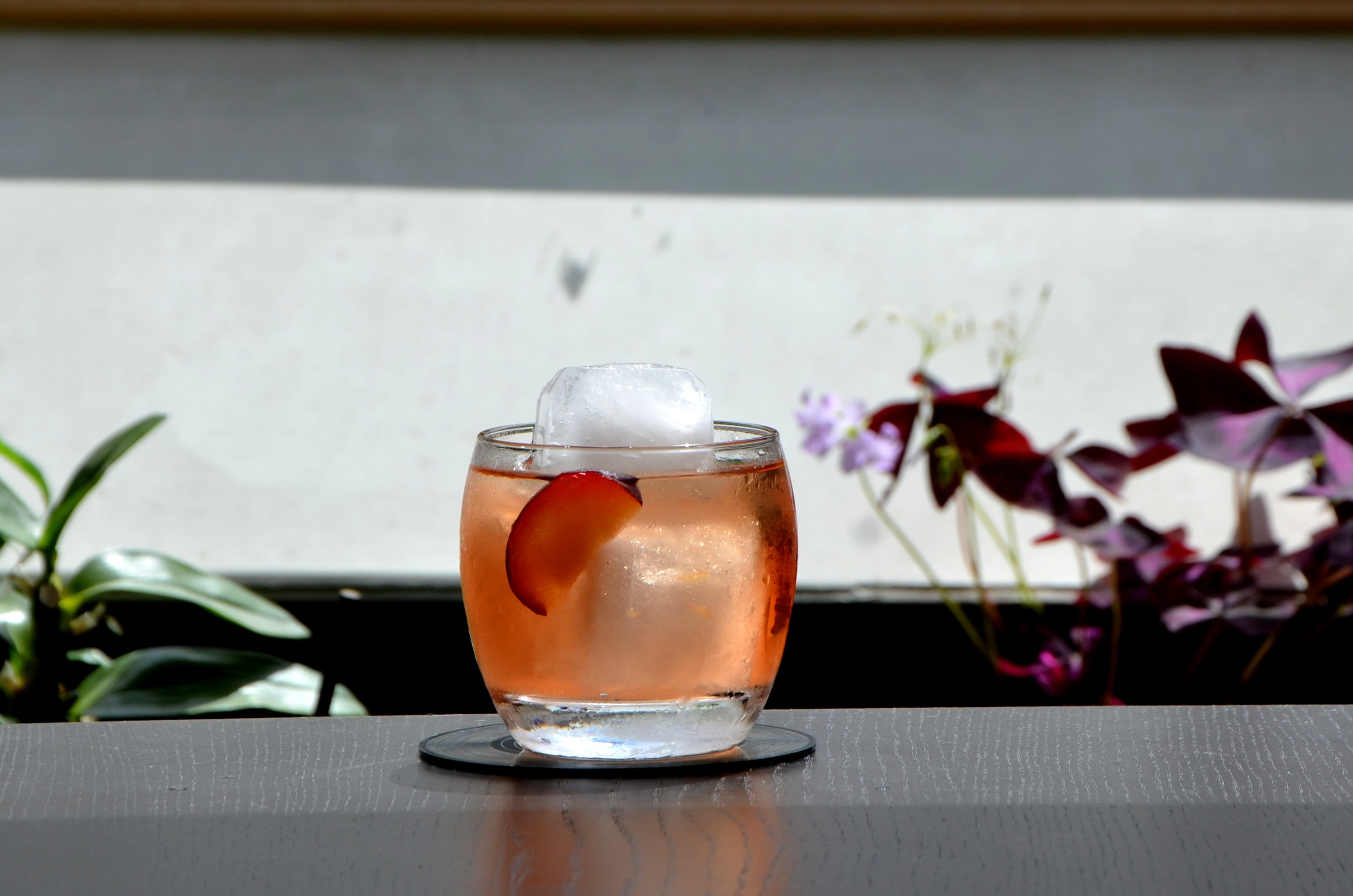 glass, plant, campari, leaf, liquid, indoors, refreshment, household equipment, clear, Umeshu, sake, Mixology, Cocktail, ice, filled, drink, 2K, nature, HD Wallpaper