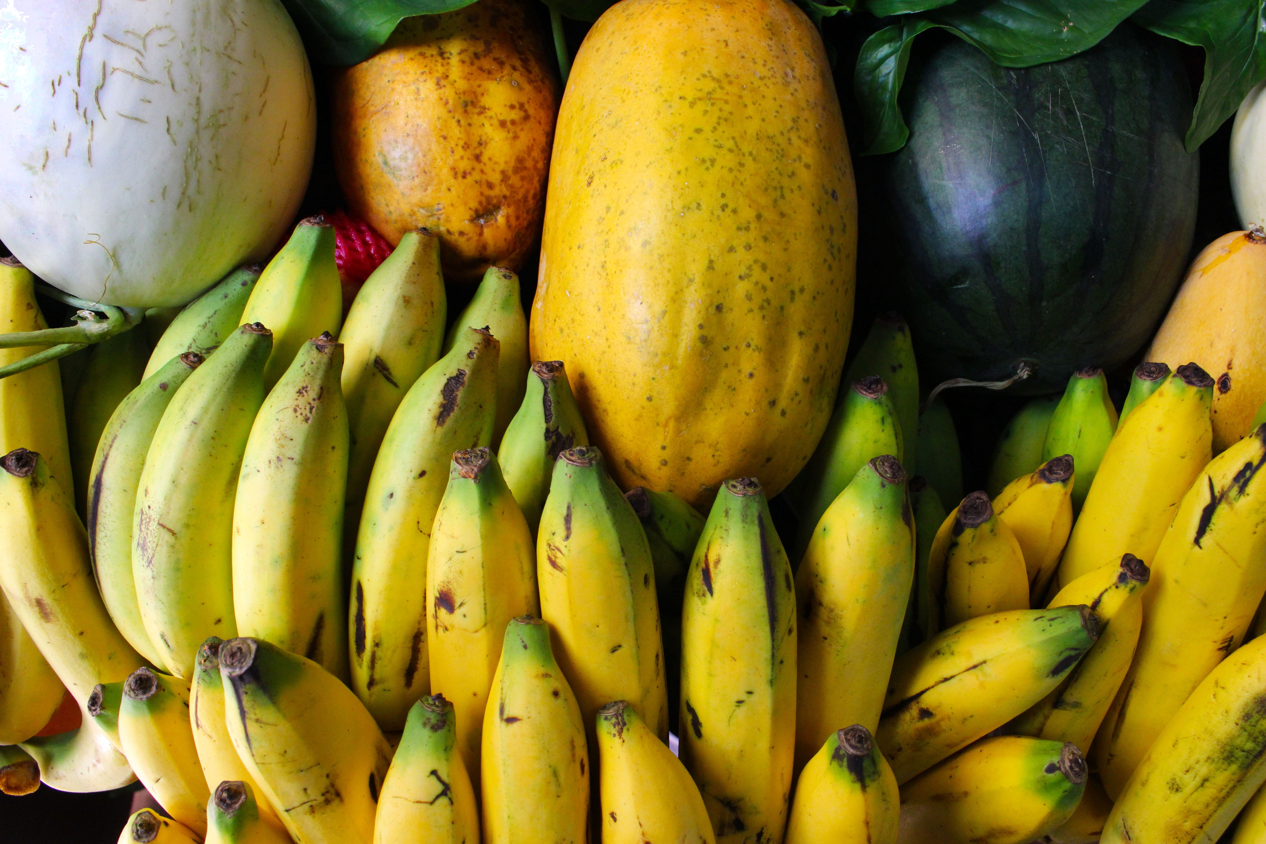 plant, freshness, display, delicious, diet, vegetarian, wellbeing, nature, choice, shop, food and drink, 5K, bananas, for sale, natural, market, yellow, HD Wallpaper
