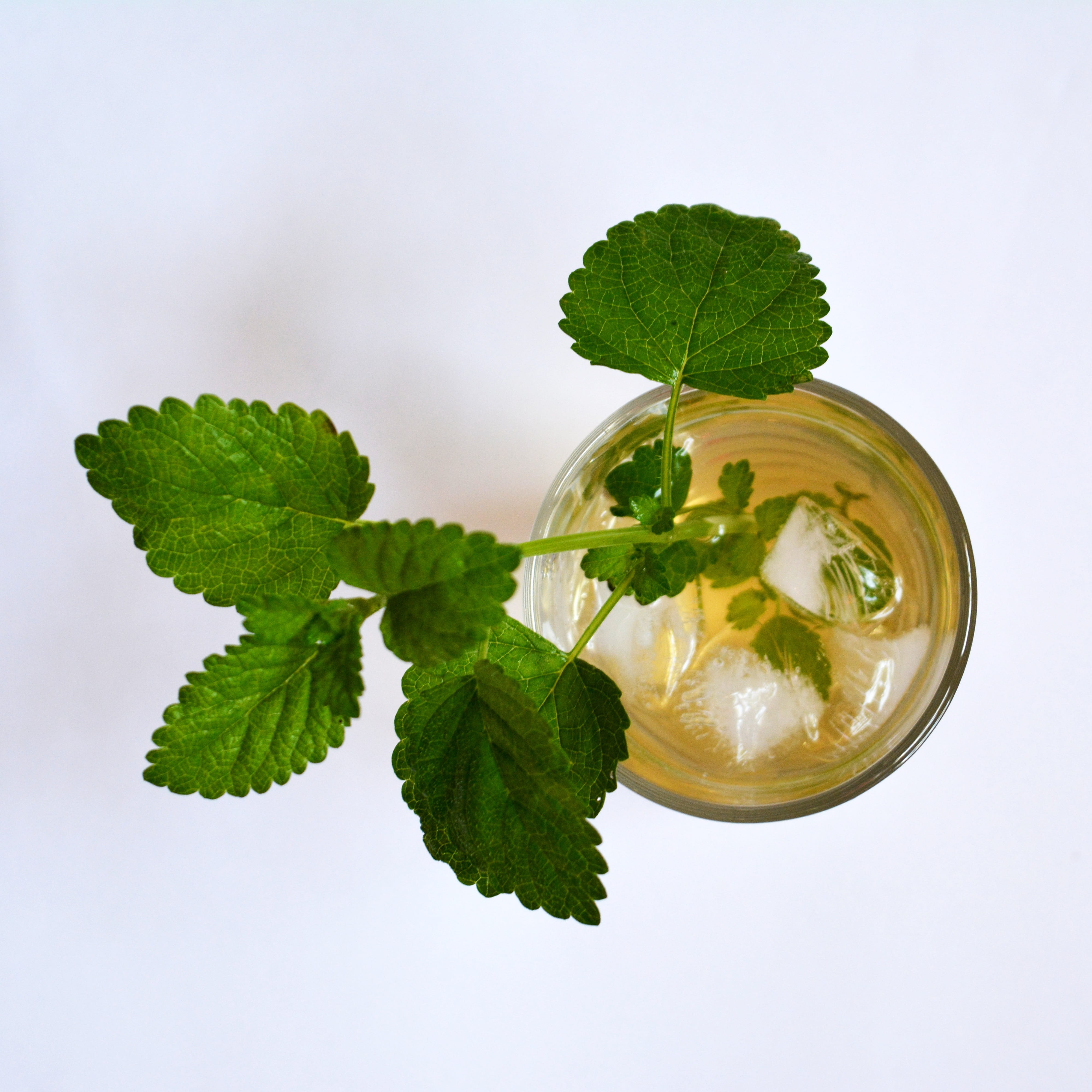 wellbeing, herbal, tea, drinking glass, food, plant part, studio shot, green, leaves, freshness, indoors, lemon balm, no people, melissa officinalis, drink, Phone HD Wallpaper