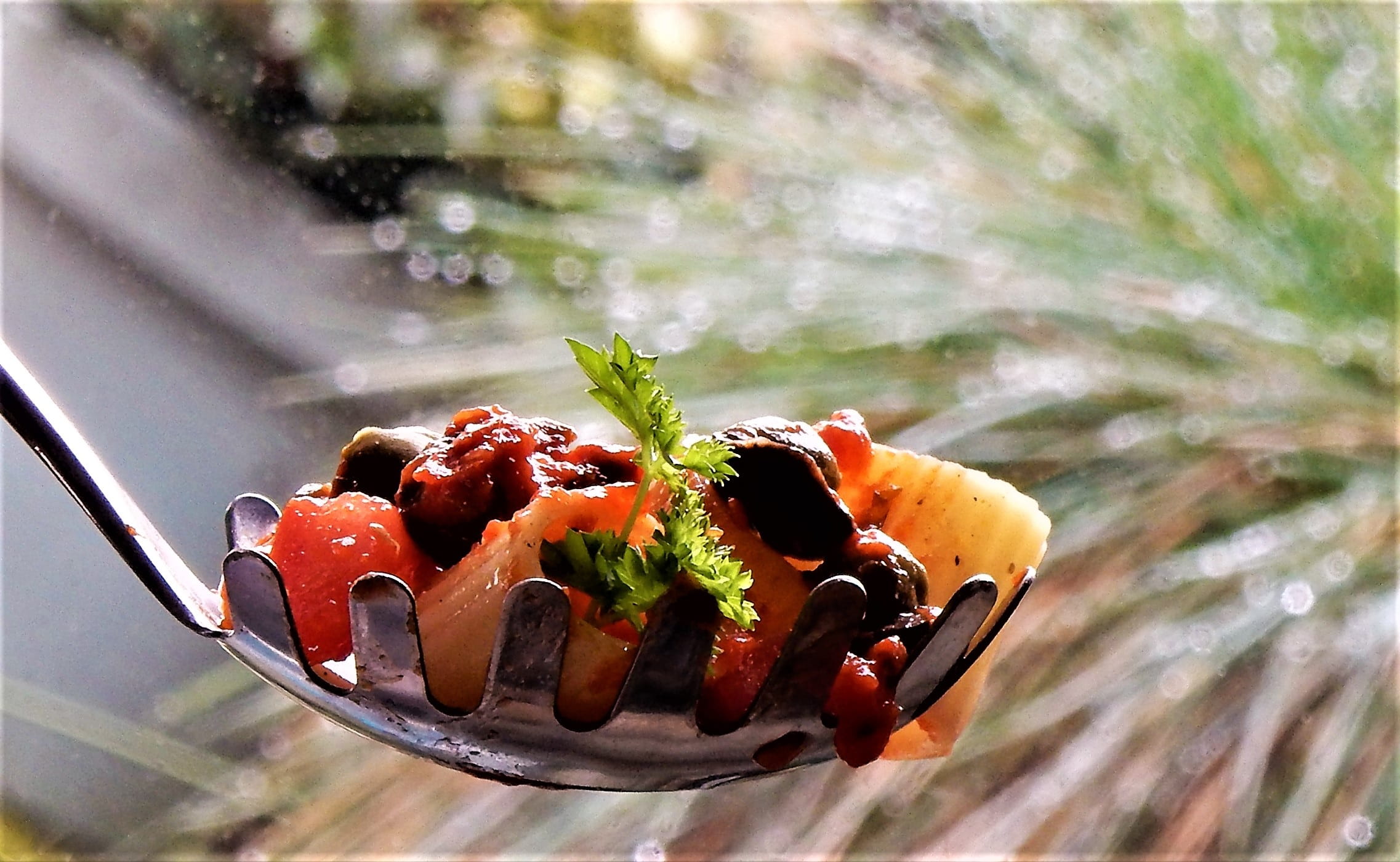 freshness, food, glass - material, healthy eating, puttaresca, wellbeing, Dinner, tasty, indoors, tagliatelle, 1080P, fresh, close-up, Tomato, day, still life, HD Wallpaper