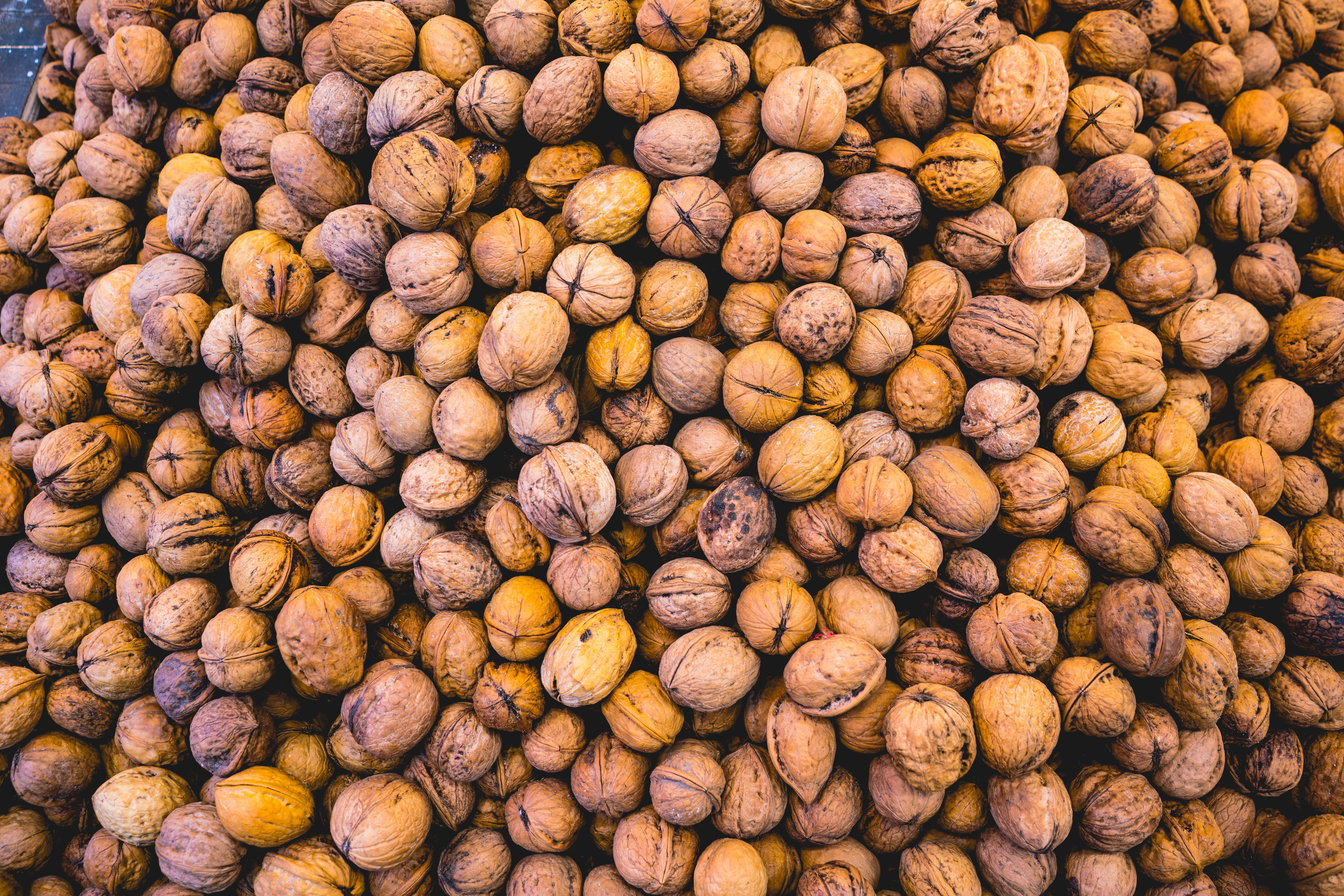 food, soy, lentil, apricot, day, coconut, food and drink, brown, vegetable, pecan, no people, still life, produce, grain, nut - food, market, nut, rug, HD Wallpaper
