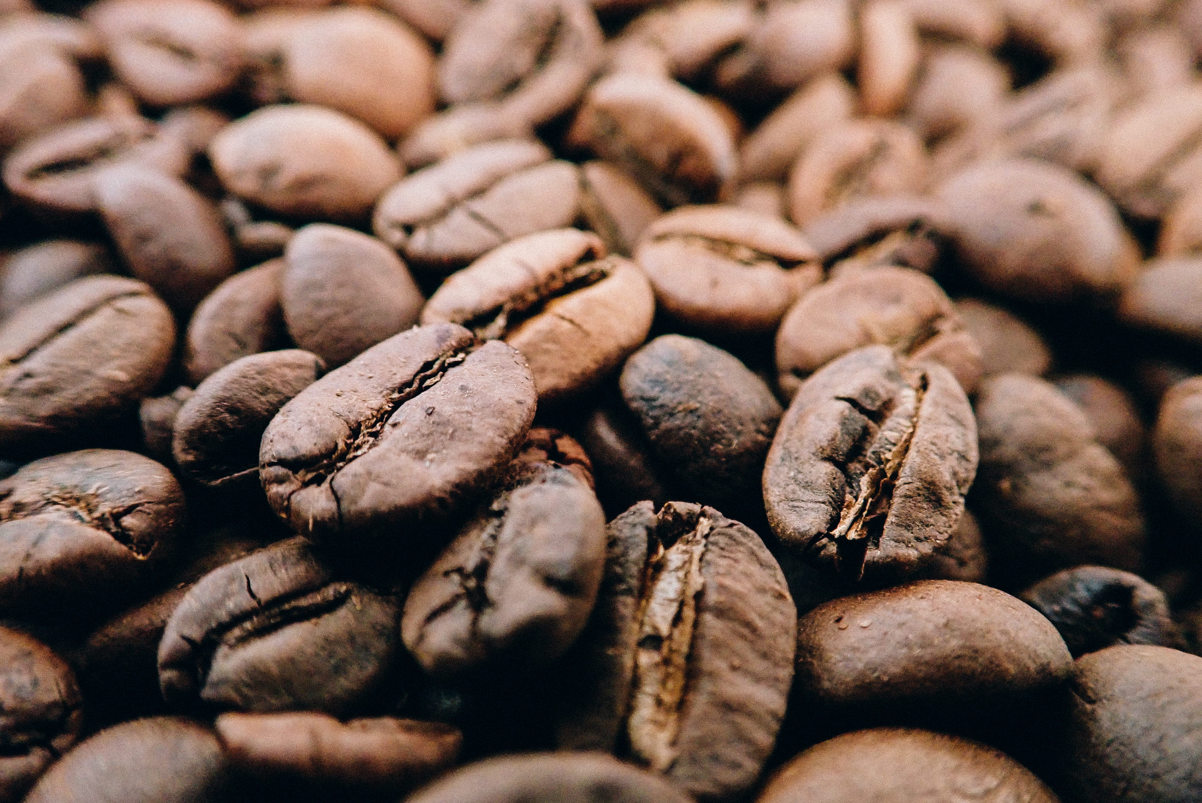 coffee cup, selective focus, freshness, focus, flower, roasted coffee bean, 4K, indoors, backgrounds, food, brown, still life, lentil, large group of objects, HD Wallpaper