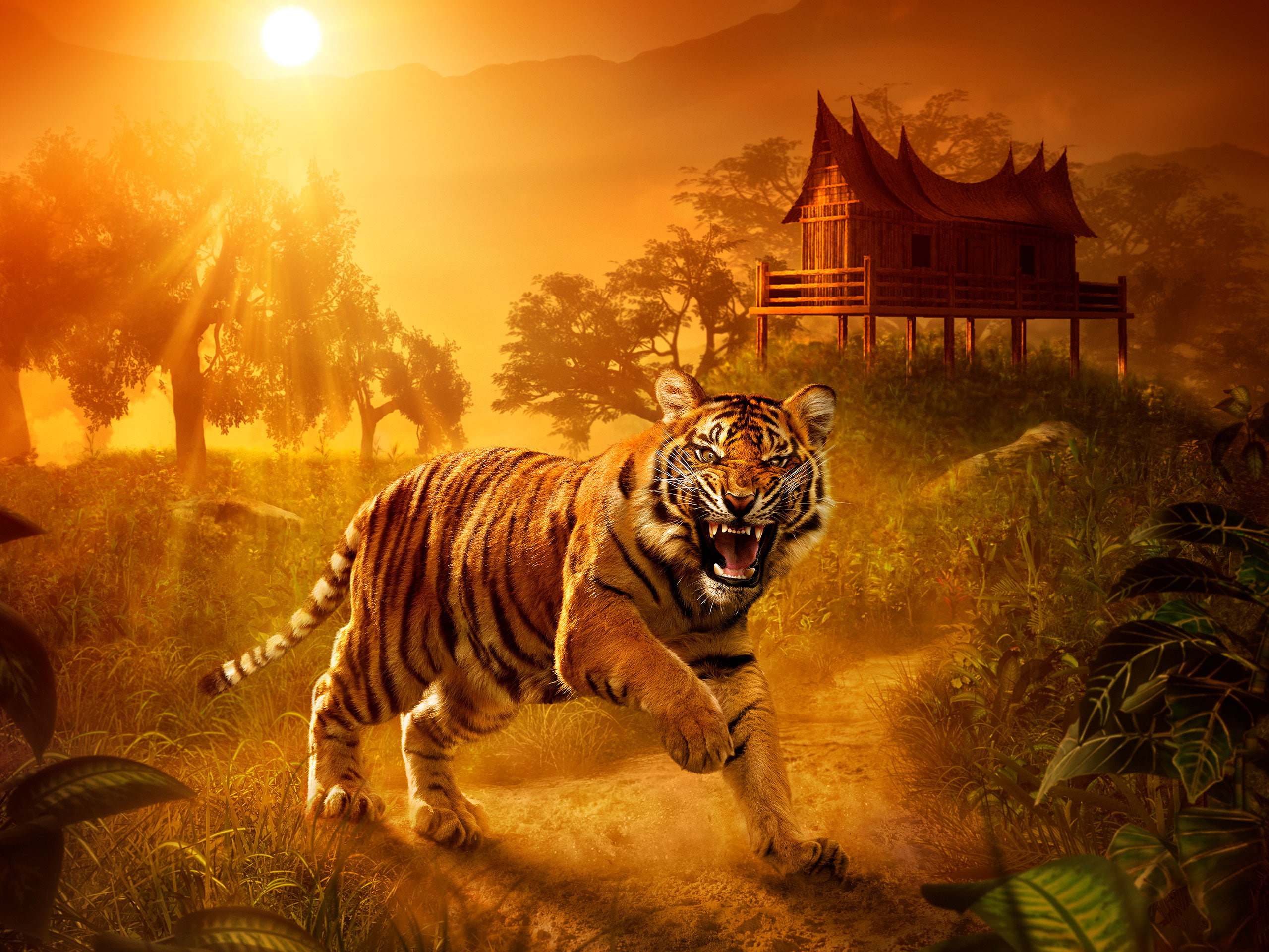 Angry, Wild Tiger, Jungle, 2K, HD Wallpaper