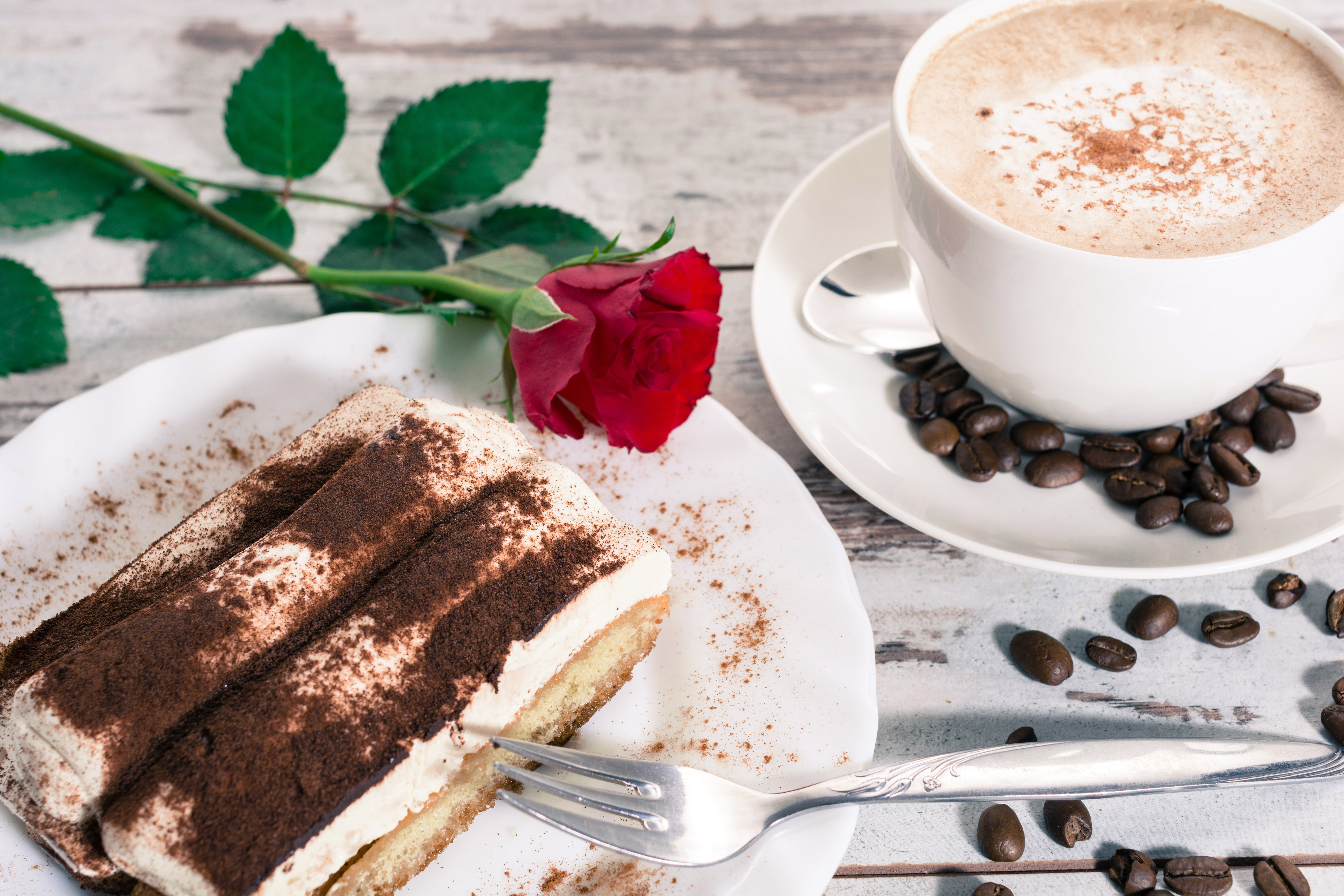 cream, 5K, coffee, cake, rose, tiramisu, dessert, sweet, HD Wallpaper