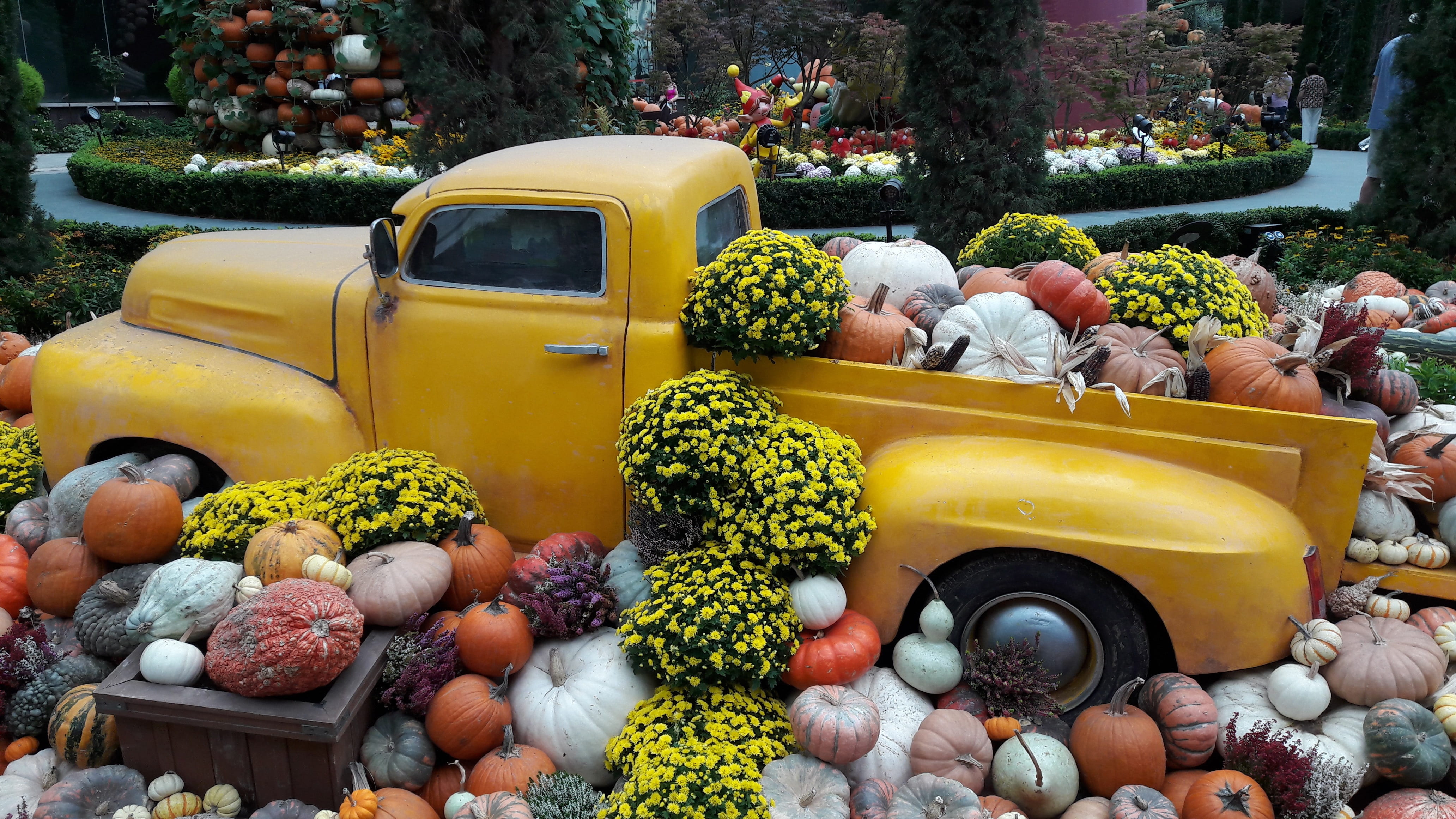 truck, halloween, fall, day, nature, pumpkin, happy, outdoors, food, traditional, large group of objects, party, vintage, healthy eating, vegetable, no people, HD Wallpaper