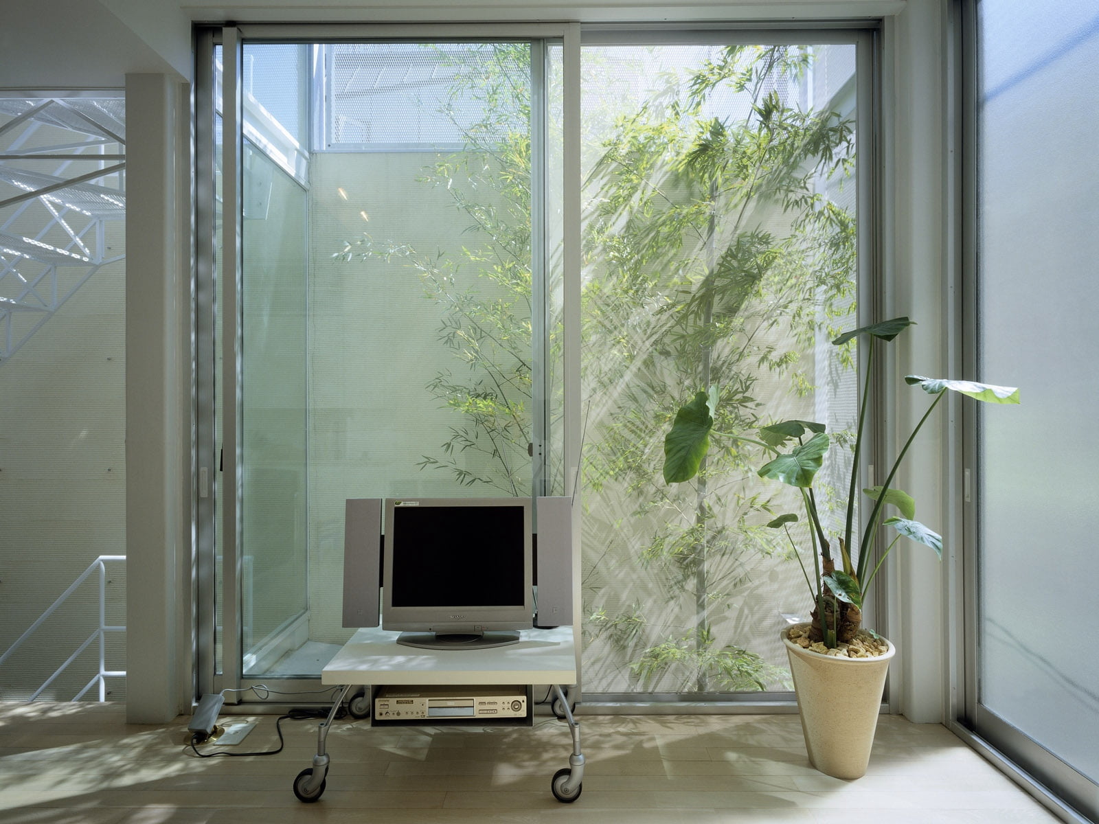 gray, tv, furniture, 720P, potted plant, seat, apparatus, chair, nature, technology, plant, domestic room, windows, flower, home interior, houseplant, HD Wallpaper