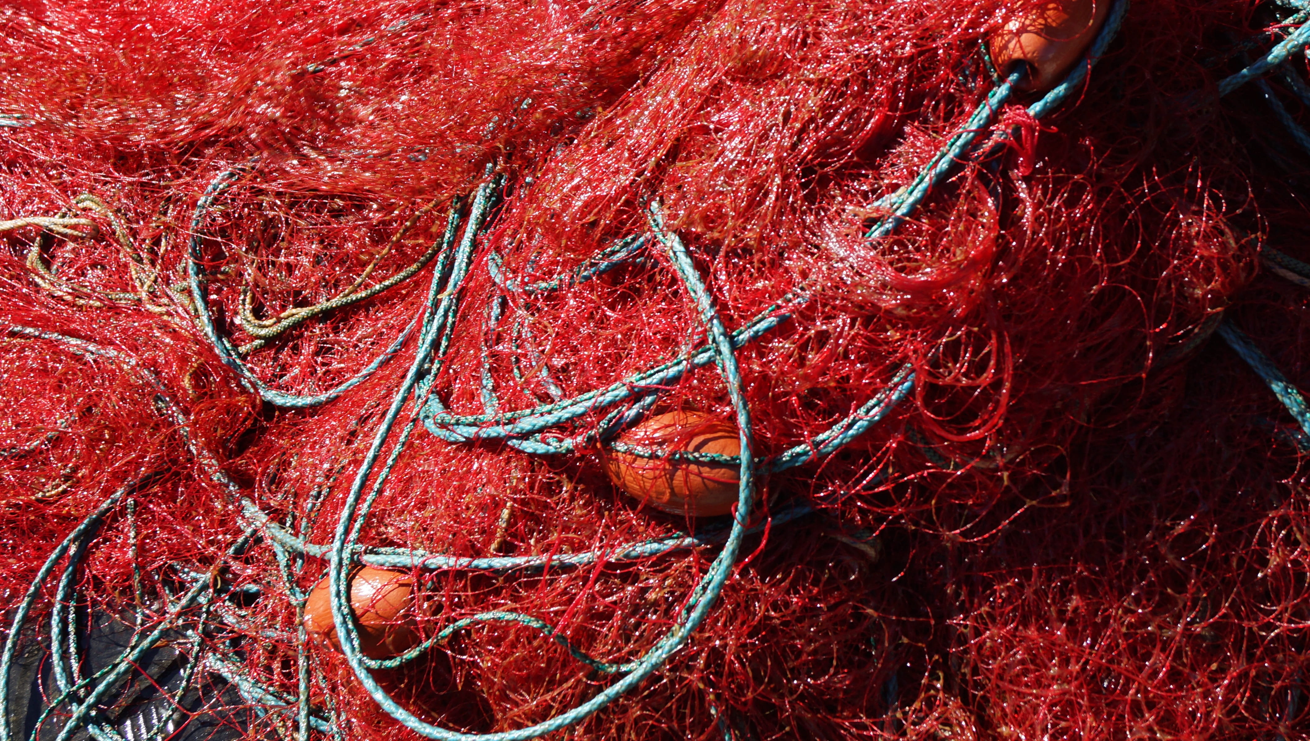 red, textile, blood, complexity, no people, backgrounds, fishing, full frame, protection, pattern, online, fishing nets, fishing net, indoors, thread, day, HD Wallpaper