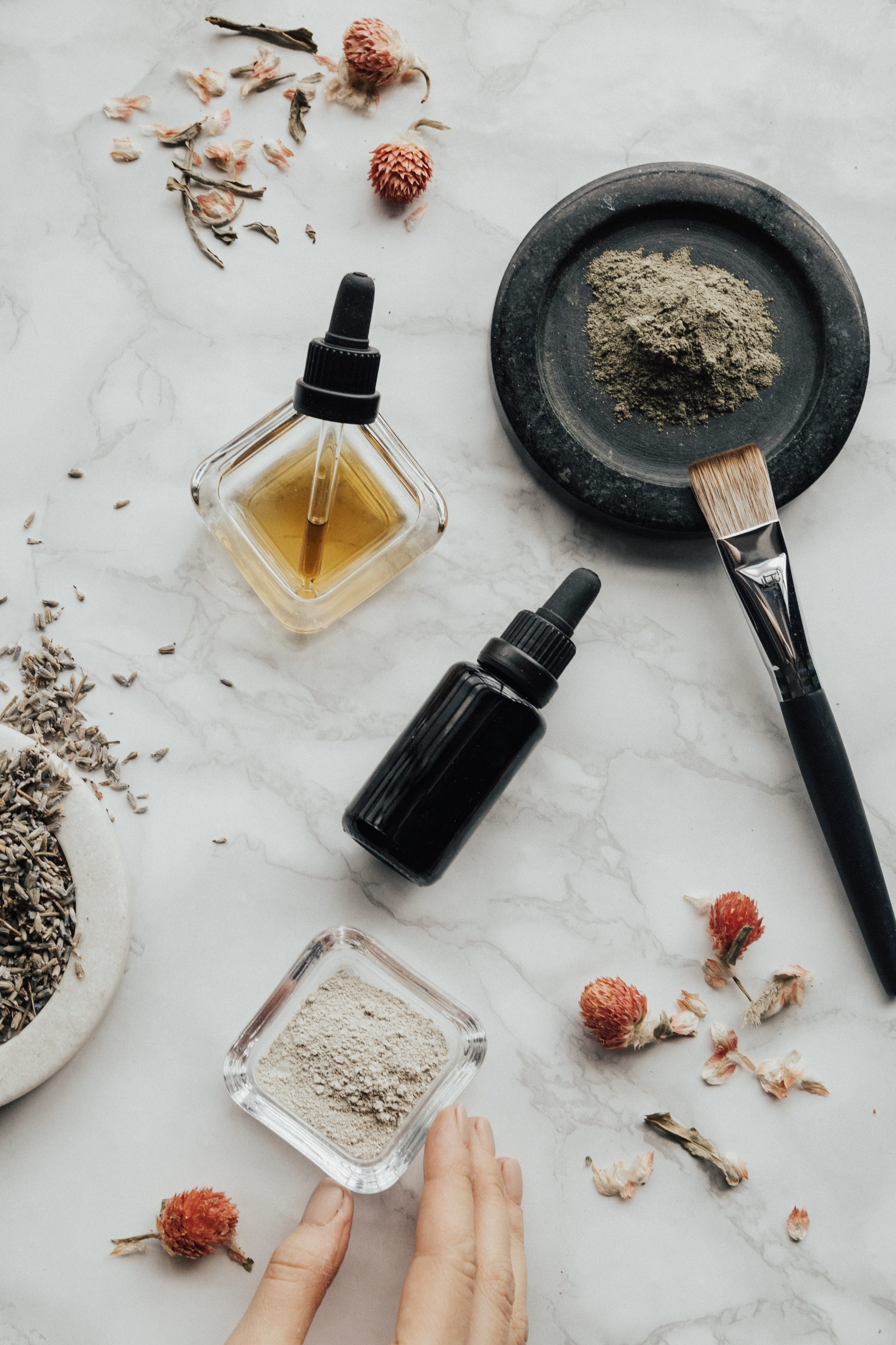 dried, medicine, human body part, from above, aromatherapy, brush, food and drink, color, powder, directly above, personal perspective, aromatic, high angle view, Phone HD Wallpaper