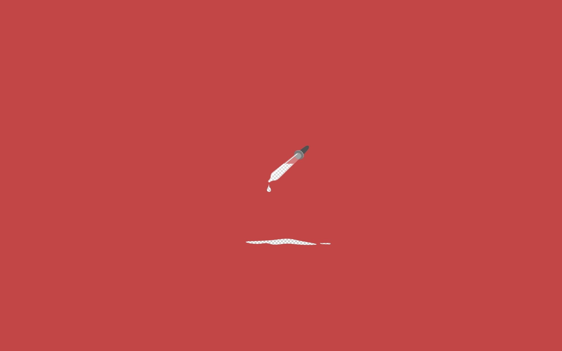 animal wildlife, animals in the wild, animal themes, copy space, one animal, Drop, vertebrate, single object, simplicity, day, nature, water, 1080P, mid-air, HD Wallpaper