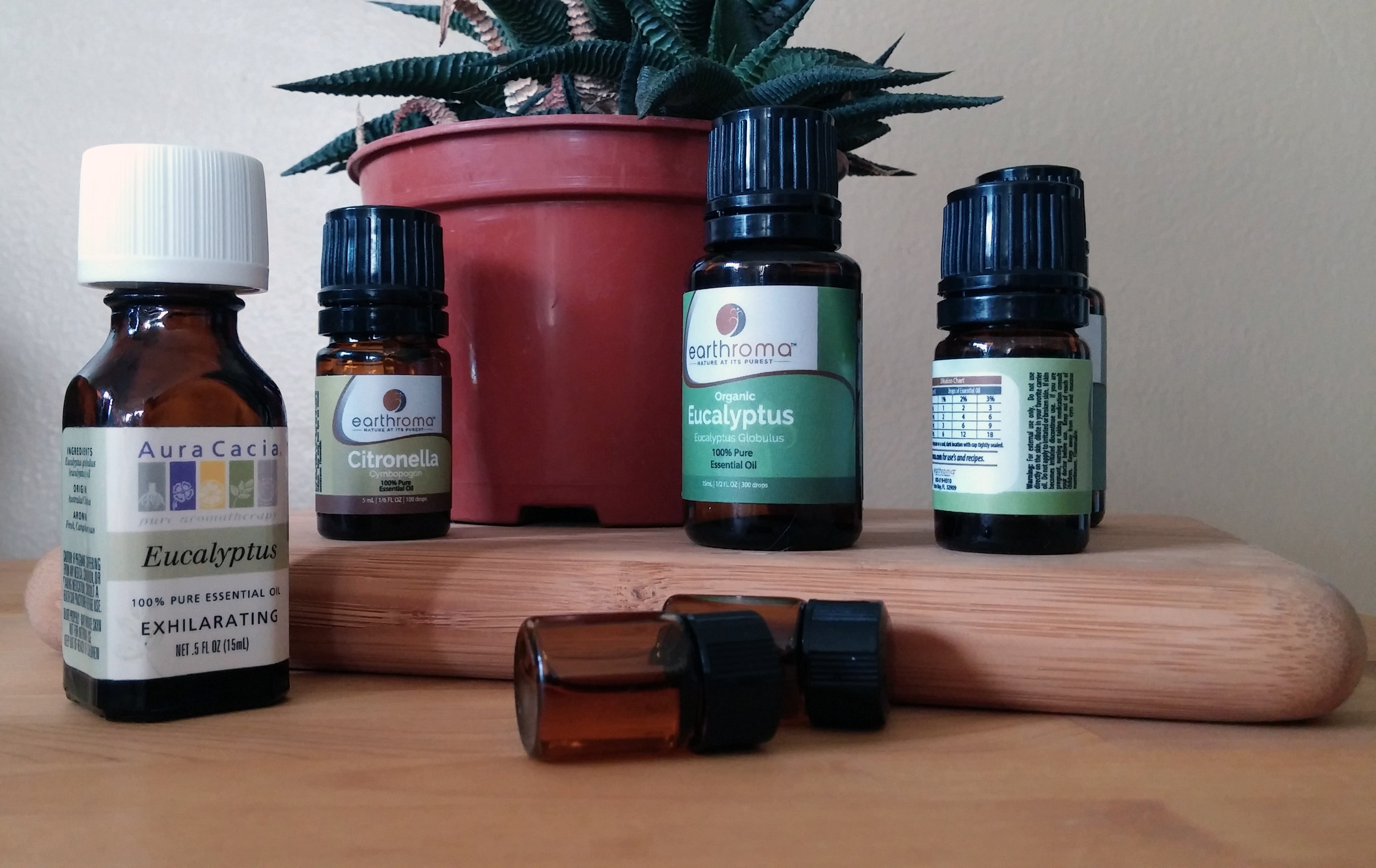 aromatic, citronella, jar, communication, healthcare and medicine, assortment, container, six, oils, bottles, large group of objects, label, essential, HD Wallpaper