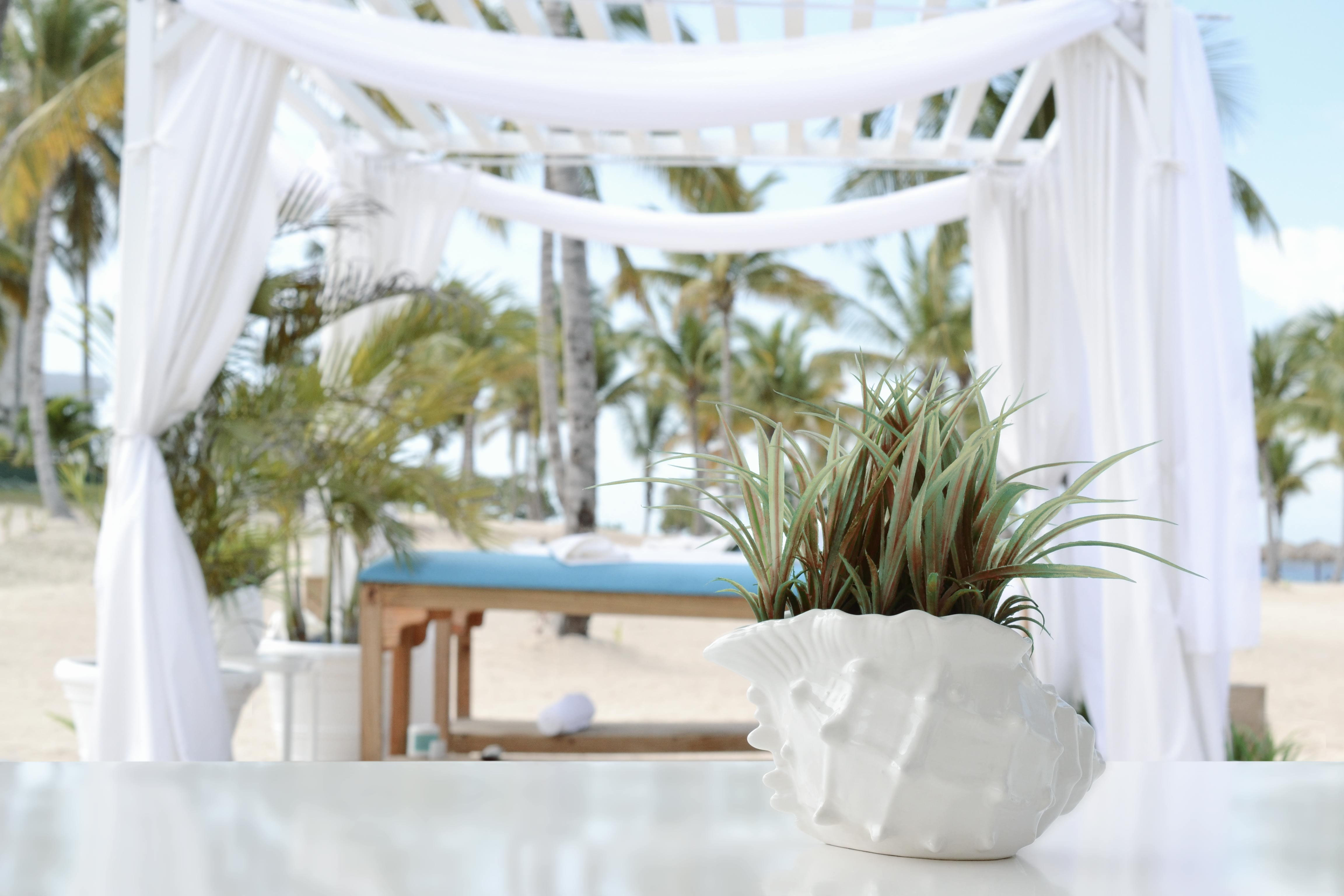 curtain, indoors, resort, luxury, photography, table, setting, relax, massage, care, tourist resort, massage therapy, wealth, day, arbor, relaxation, wellness, HD Wallpaper