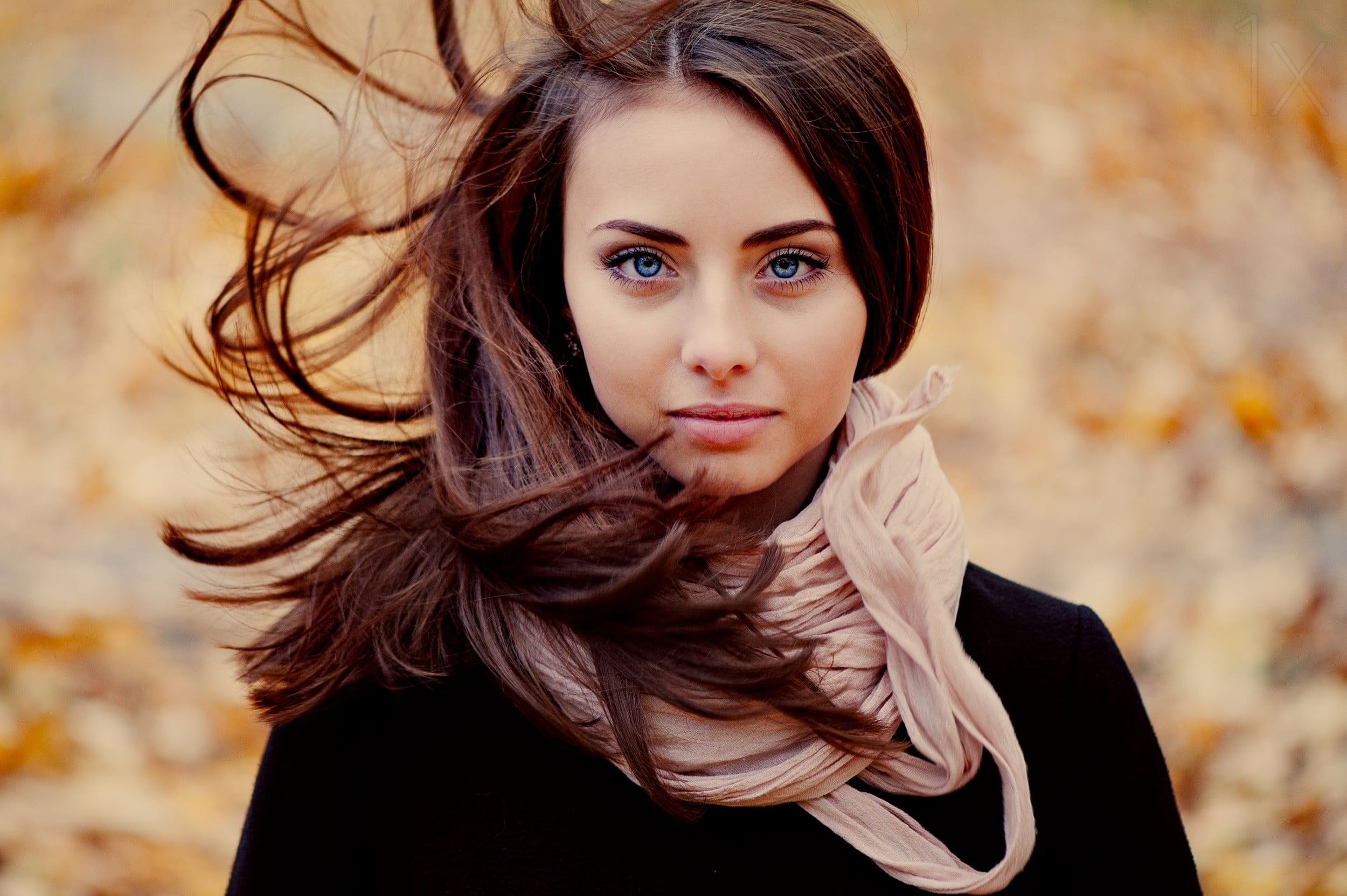 portrait, beauty In Nature, focus, women, adult, outdoors, blue eyes, windy, close-up, people, front view, tree, tousled hair, sensuality, females, leaf, HD Wallpaper