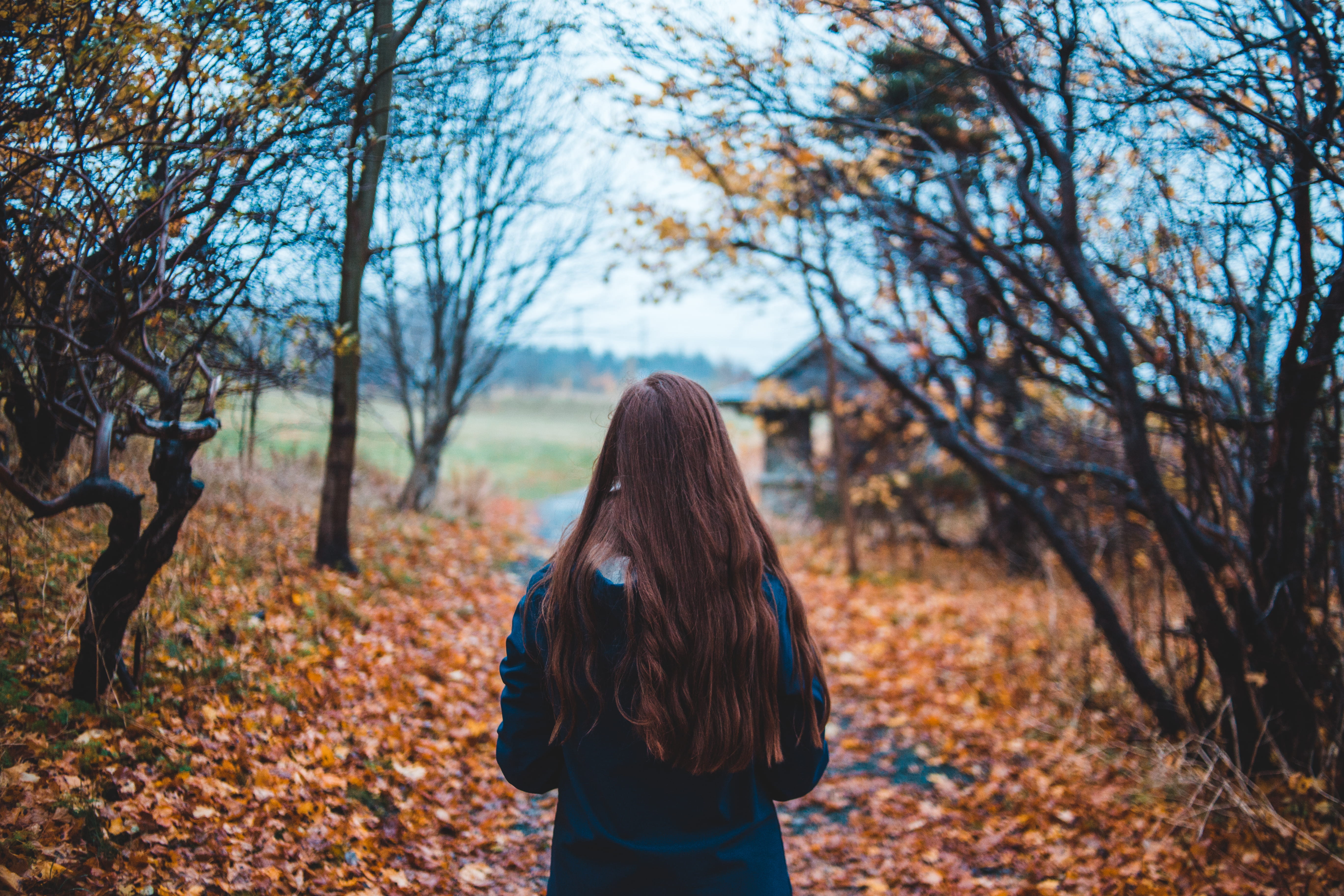 hair, casual clothing, apparel, 5K, dirt, nature, one person, tree, canada, autumn, ground, lifestyles, bare, outdoors, leaf, meadow, person, change, beside, HD Wallpaper