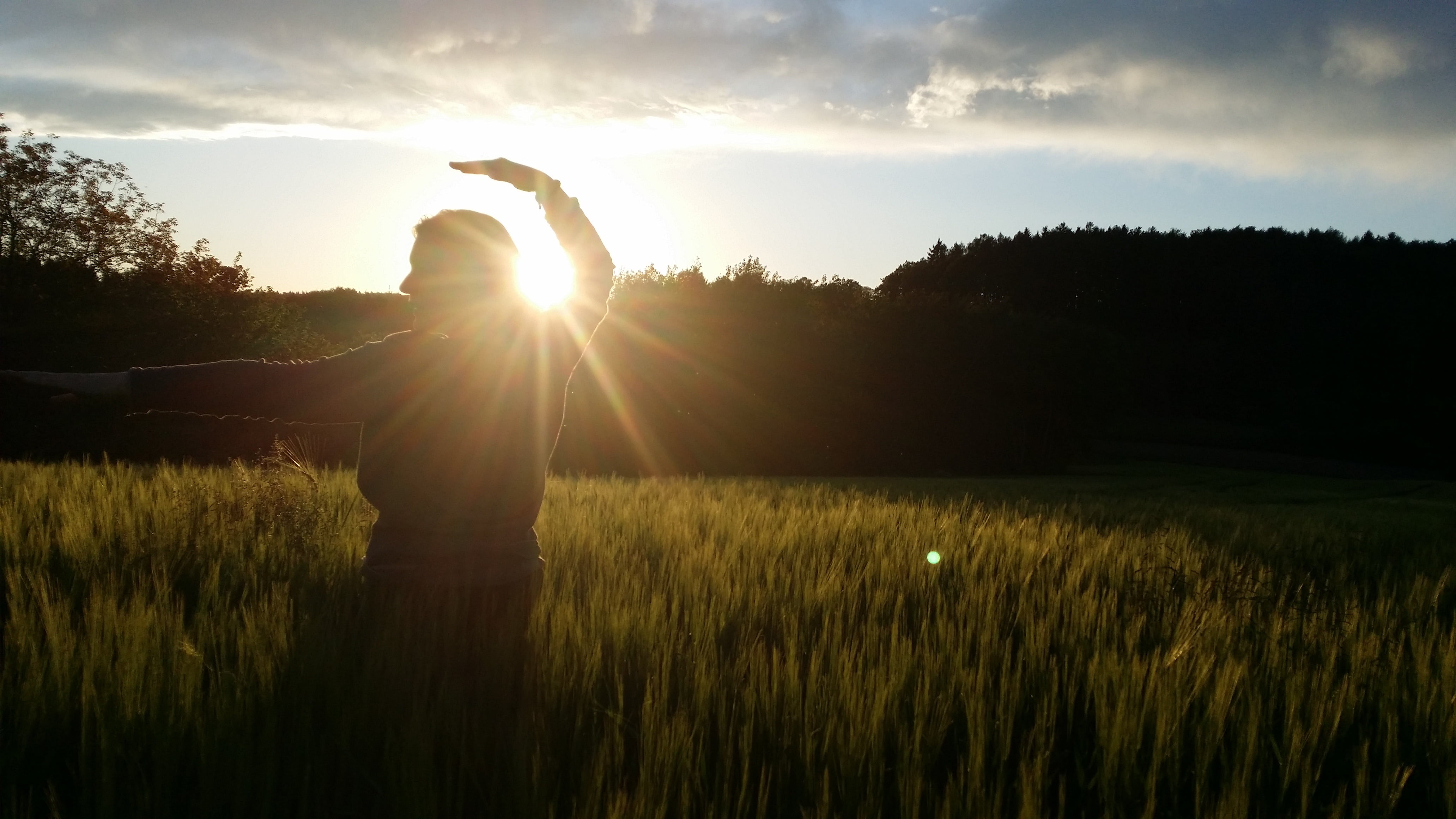 beauty in nature, pose, environment, sun, cloud - sky, 4K, tranquility, back Lit, landscape, grass, lichtspiel, adult, sunset, sky, plant, outdoors, field, HD Wallpaper