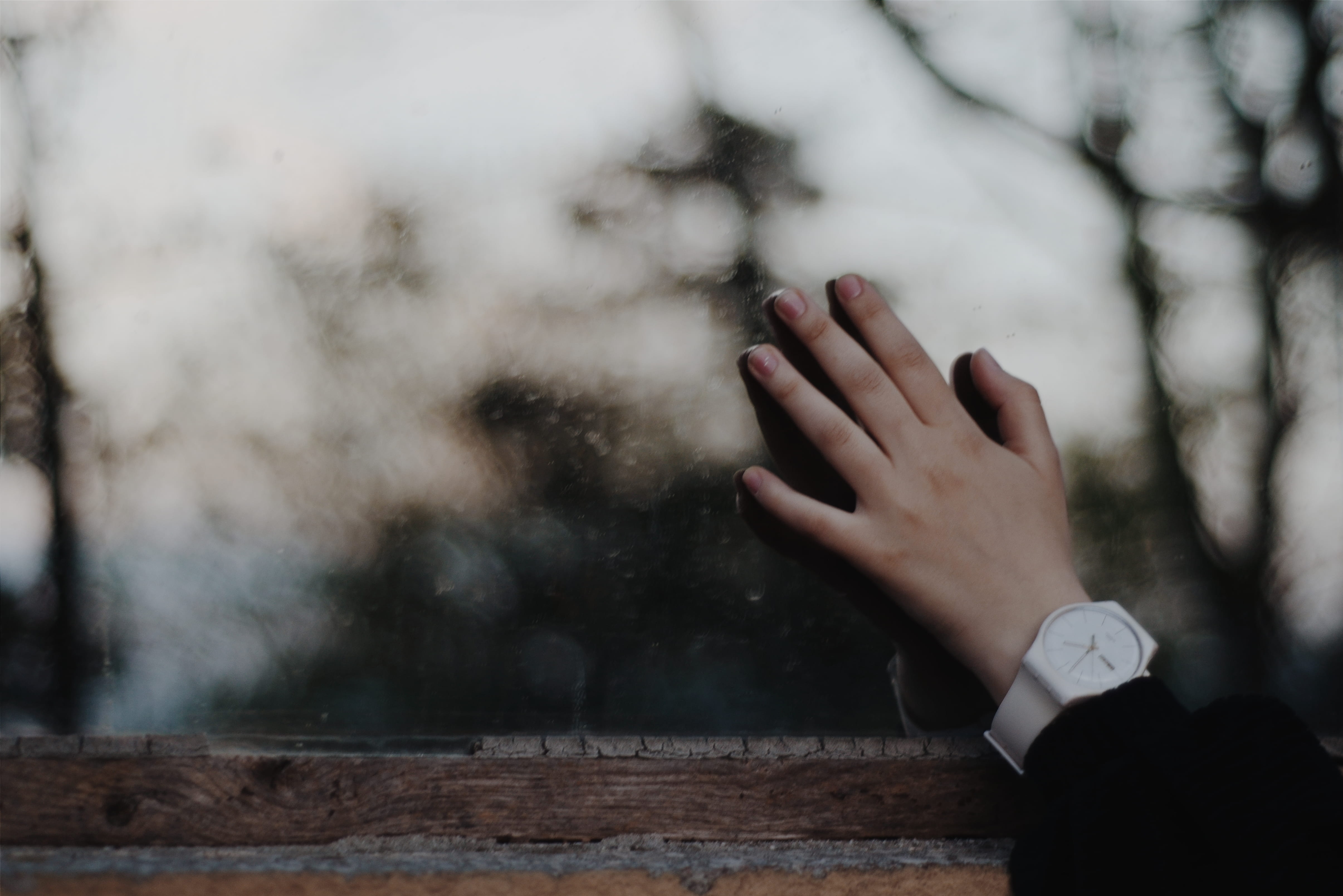 wristwatch, lifestyles, left, watch, day, 4K, hand, body part, close-up, glass, focus on foreground, outdoors, nature, unrecognizable person, tree, nails, HD Wallpaper