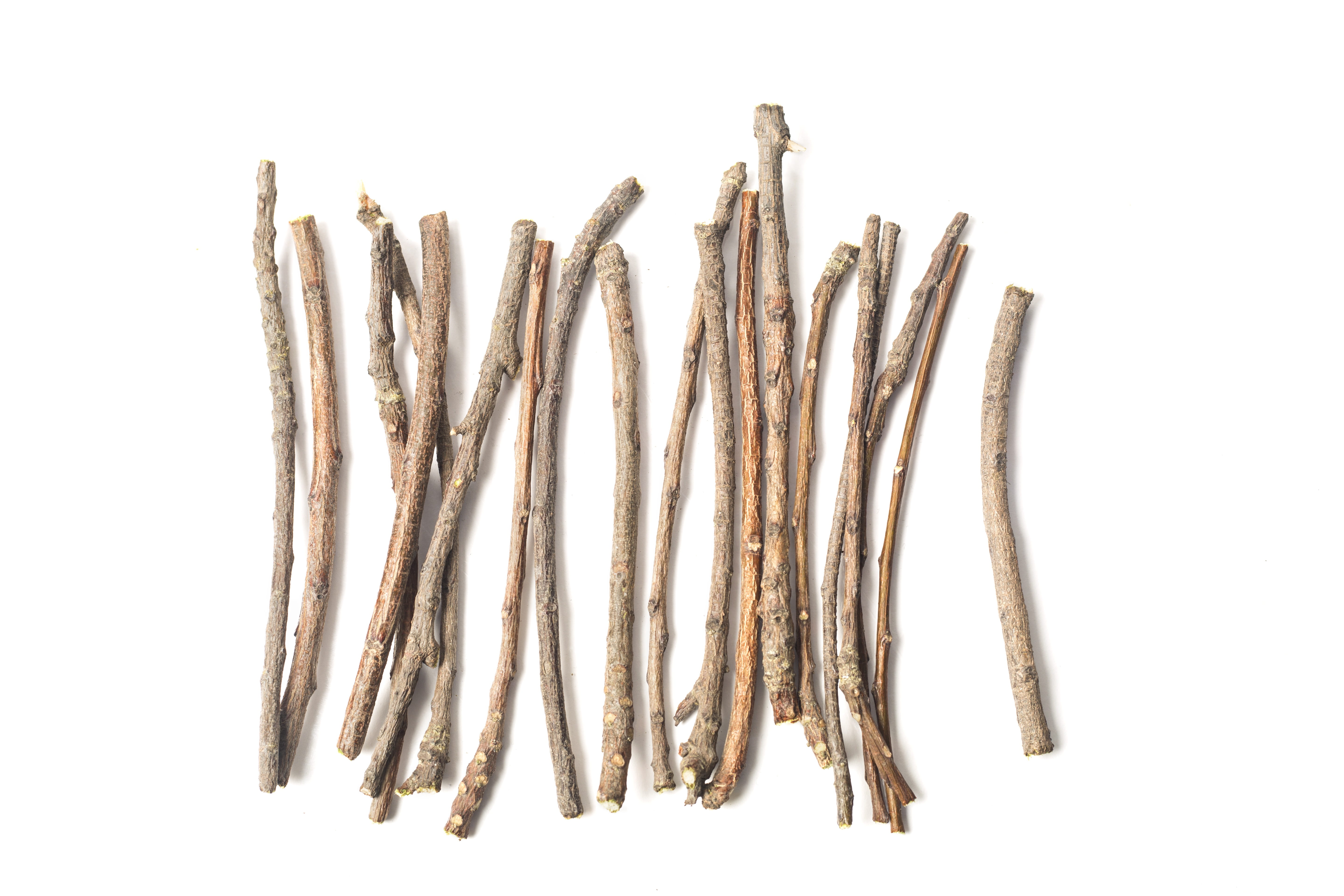large group of objects, medical, food and drink, plant, high angle view, silver colored, stem, group, group of objects, white background, branch, 5K, wood, HD Wallpaper