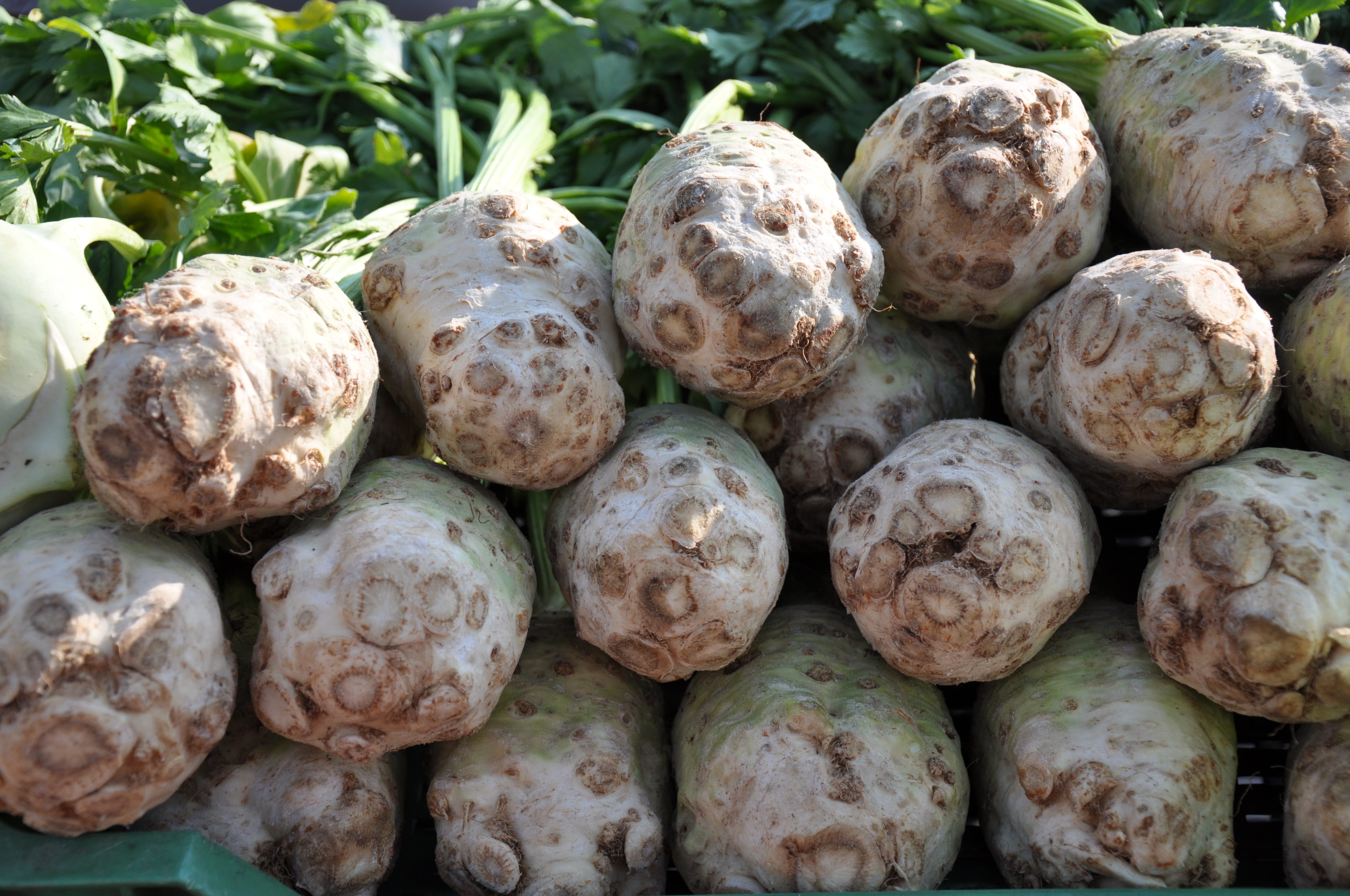 celery, retail, outdoors, healthy eating, large group of objects, close-up, market stall, food, full frame, food and drink, freshness, still life, day, HD Wallpaper