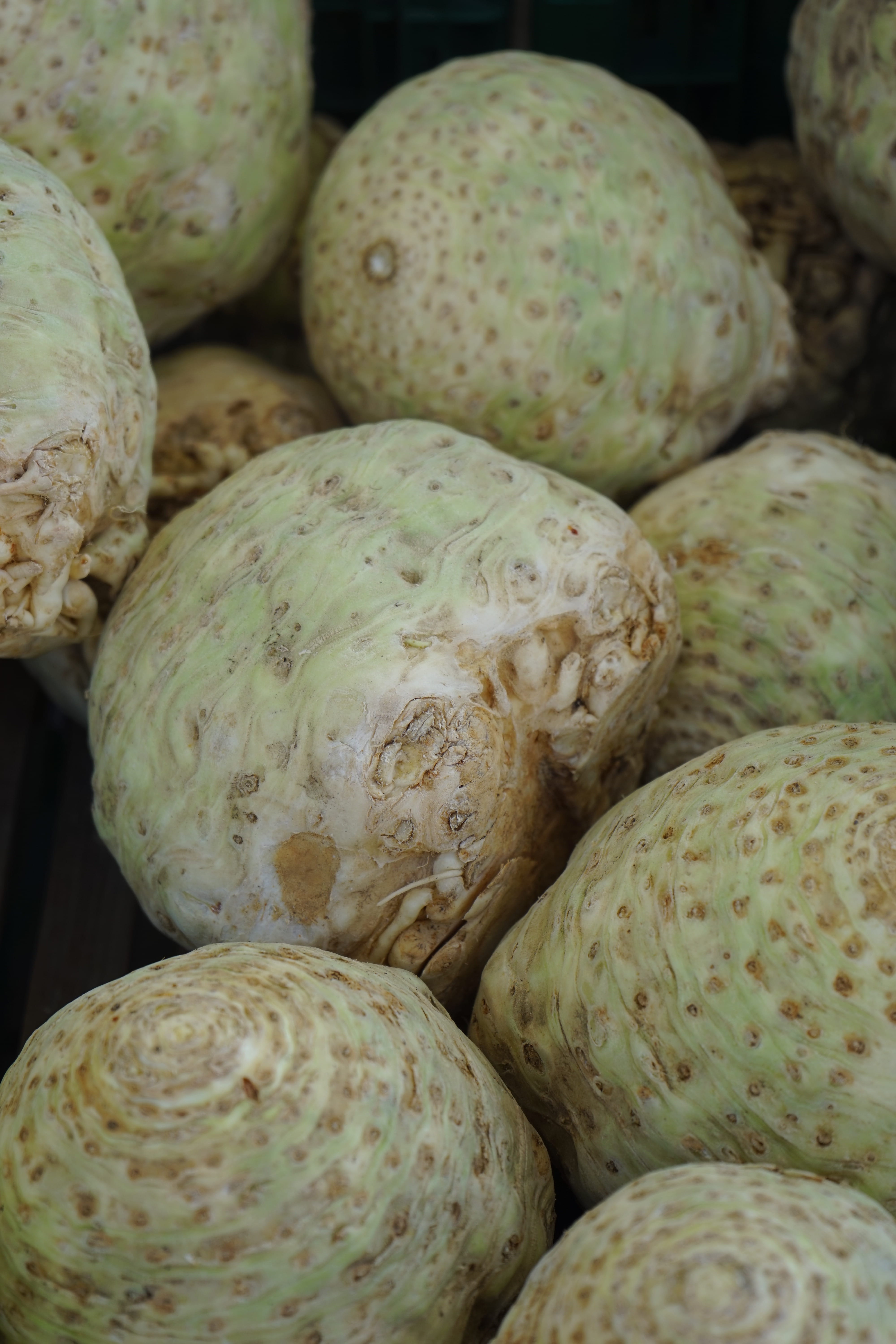 fruit, indoors, market, textured, no people, food, vegetable, organic, tuber, full frame, pattern, backgrounds, root celery, Turnip, apium graveolens var rapaceum, Phone HD Wallpaper