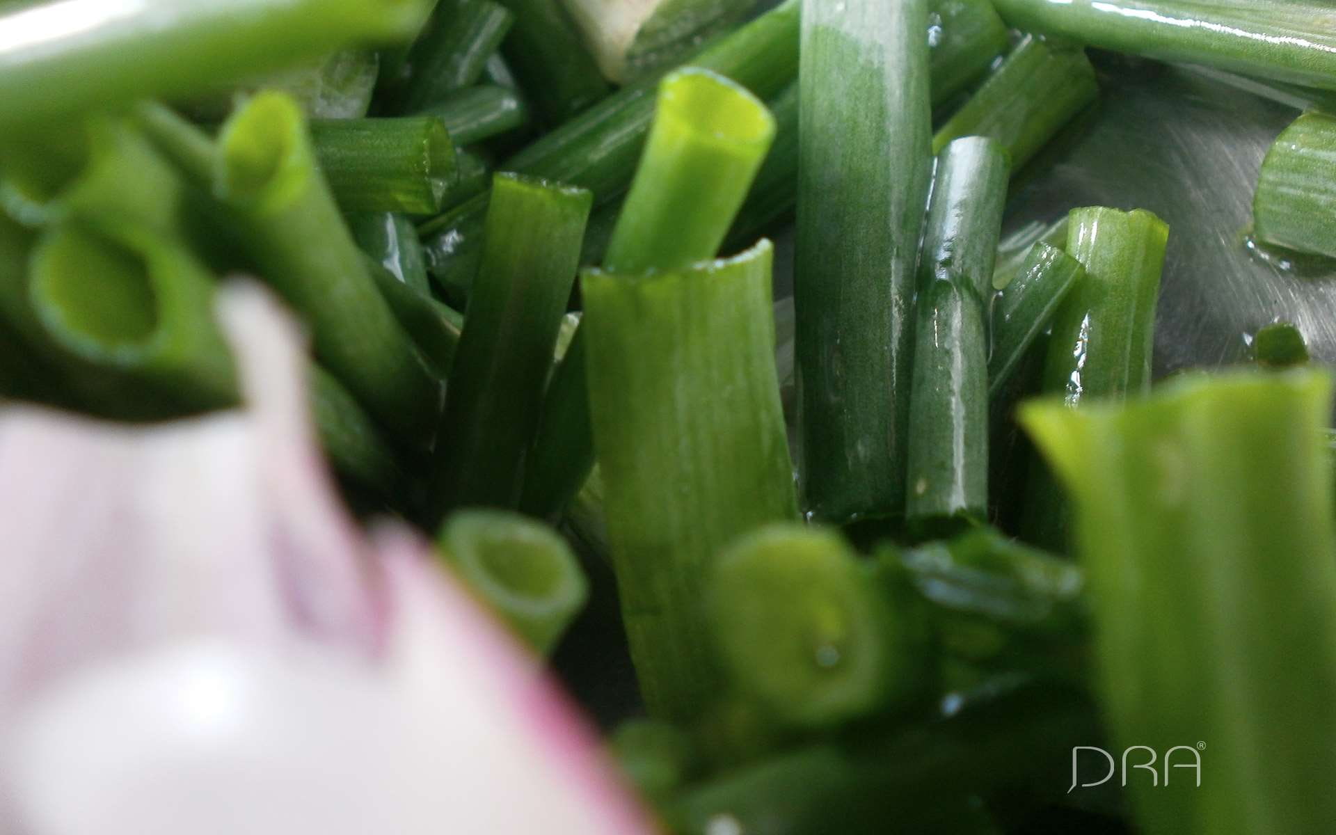 no people, onion leaf, celery, green color, 1080P, close-up, selective focus, freshness, food and drink, green, nature, organic, bowl, healthy eating, HD Wallpaper