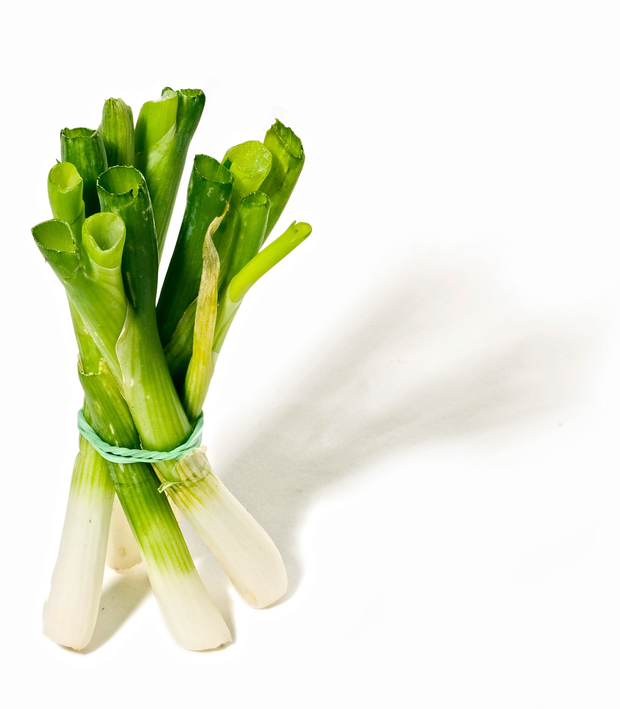 copy space, spring onions, culinary herbs, white, snack, herbs, herb garden, green, green color, freshness, indoors, organic, food, surface, raw food, herb, Phone HD Wallpaper