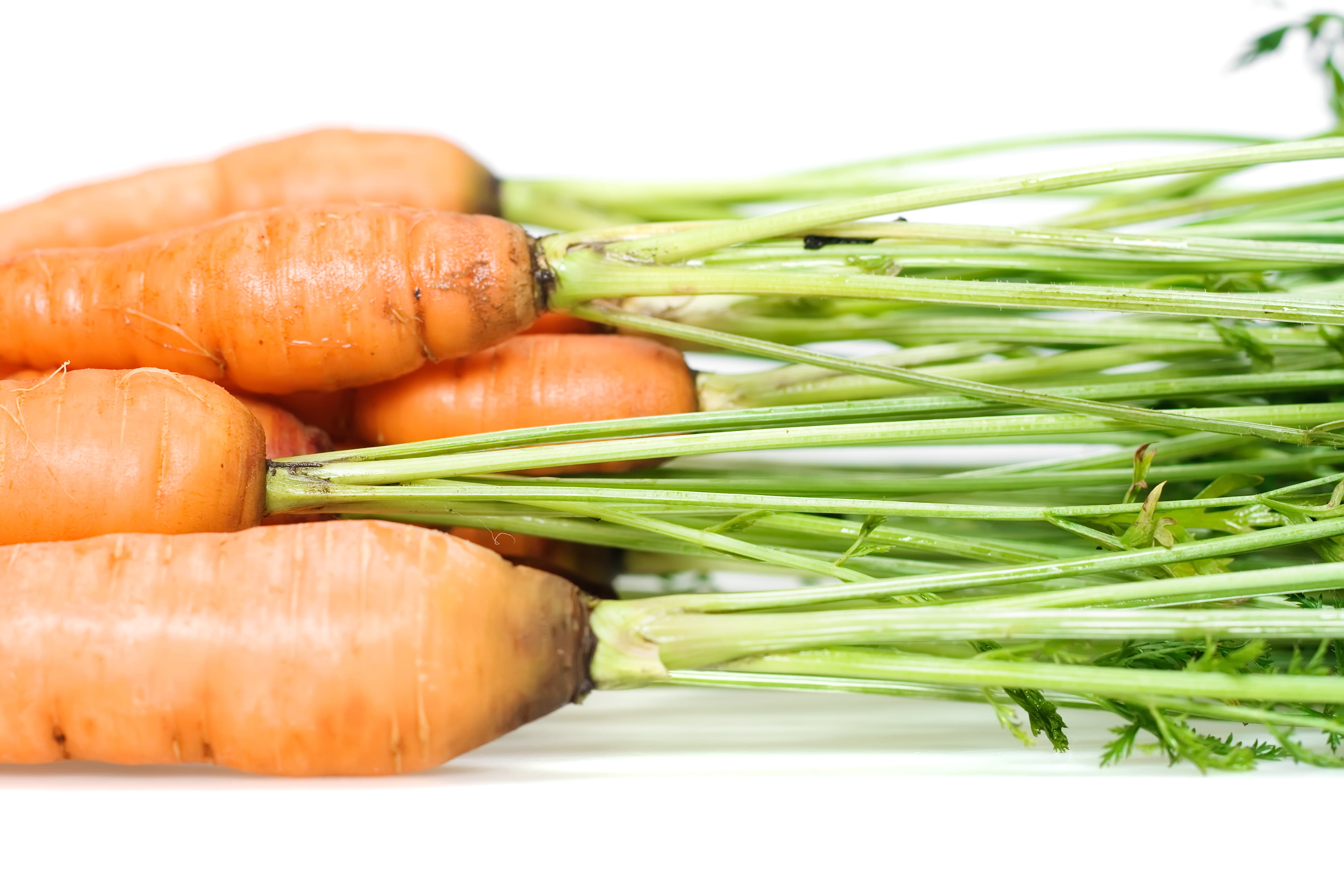 close-up, fresh, 4K, salad, no people, organic, vegetable, heap, isolated, leaf, celery, healthy, onion, vegetarian, indoors, orange color, vegetarian food, HD Wallpaper