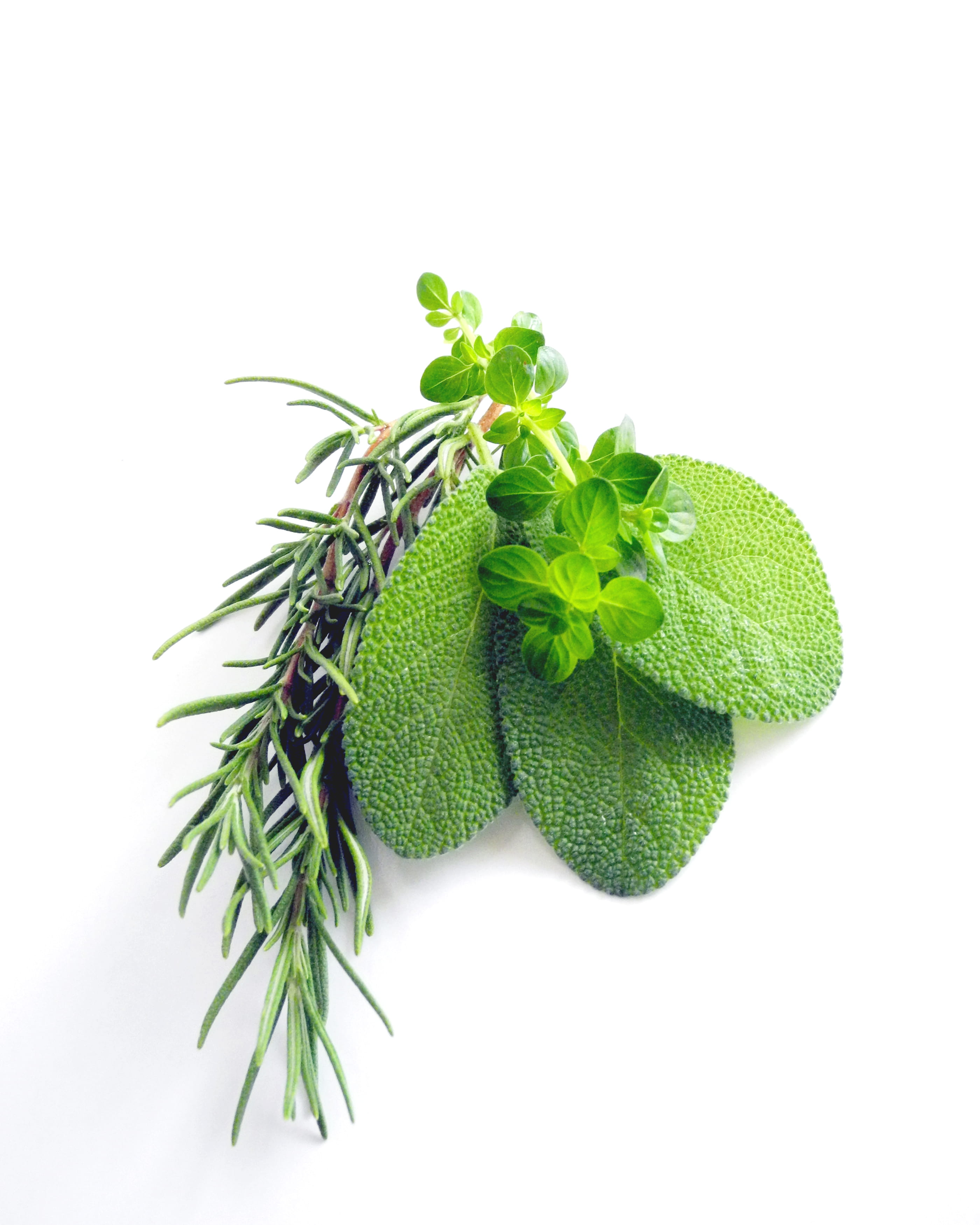 herb gardening, indoors, still life, leaves, organic, studio shot, wellbeing, plants, kitchen, gardening, copy space, cooking, green, healthy eating, 2K, Phone HD Wallpaper