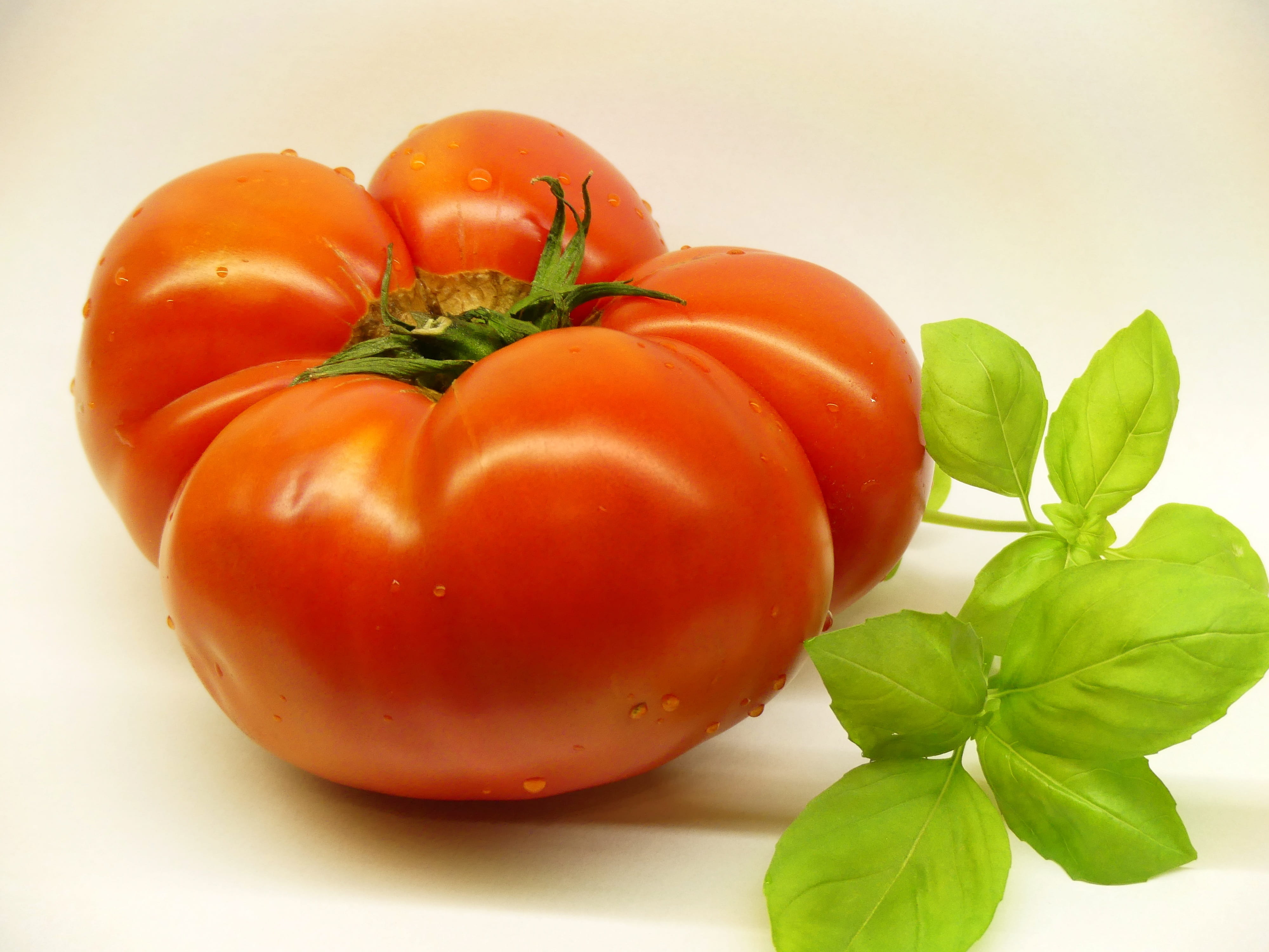 close-up, indoors, group of objects, healthy, plant part, green color, raw food, orange color, caprese, public record, ripe, fresh, tomatoes, 4K, leaf, HD Wallpaper