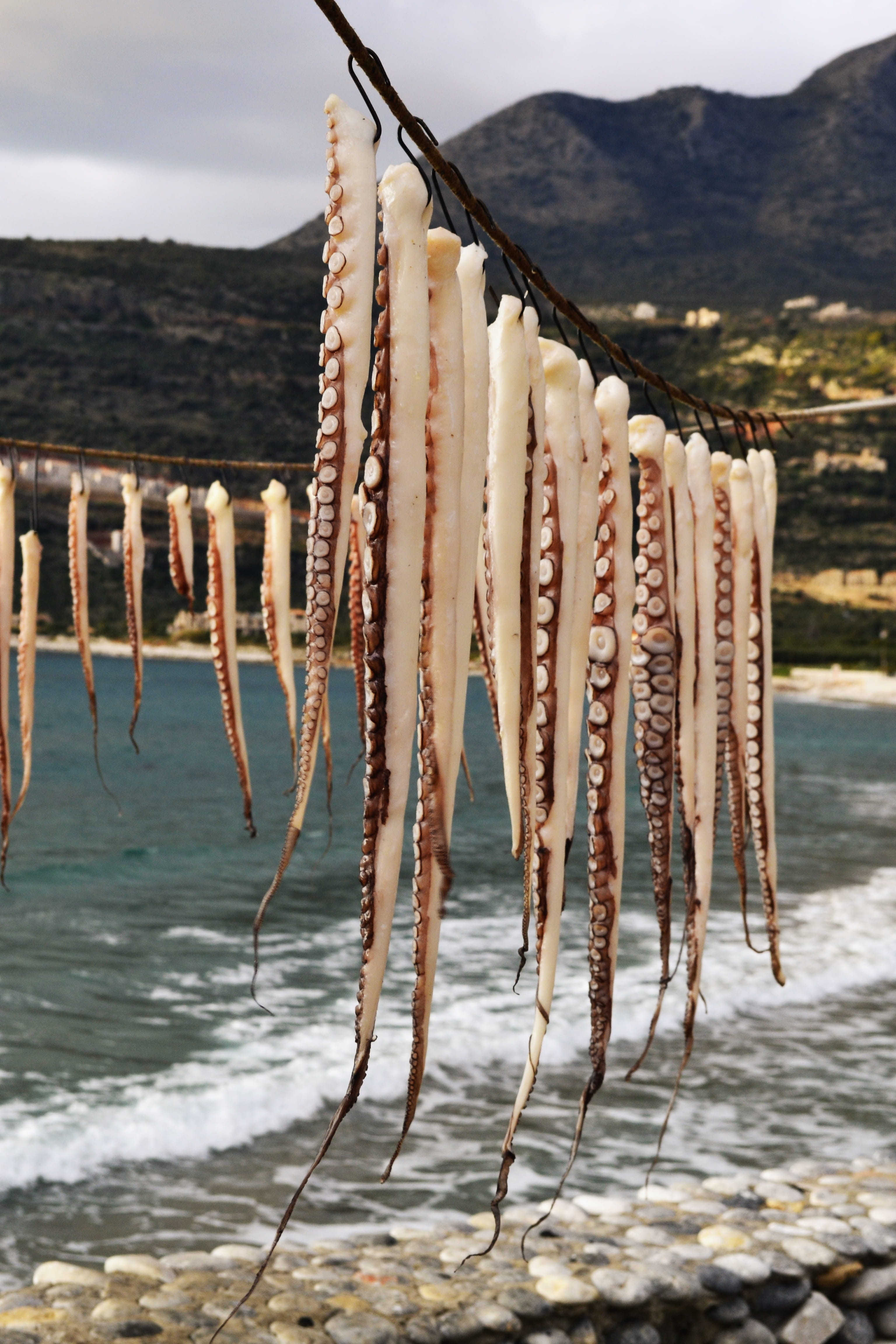 hanging octopus, fish, mountain, hanging, drying, close-up, food and drink, sea, mediterranean, tourism, fishing industry, dish, sky, vacation, summer, Phone HD Wallpaper