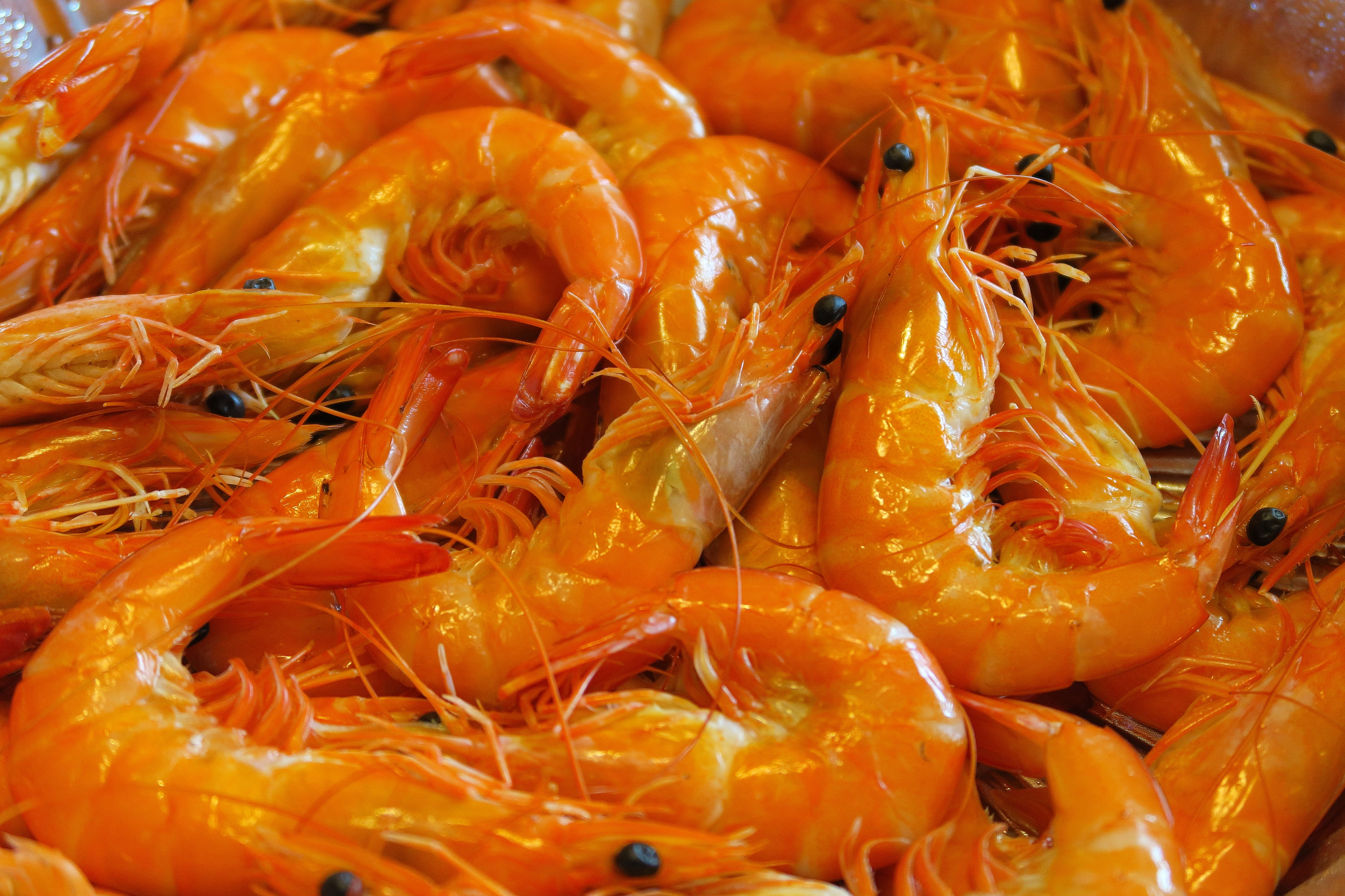 retail, foodie, food, large group of objects, backgrounds, market, still life, crustacean, orange color, no people, 5K, abundance, seafood, wellbeing, HD Wallpaper