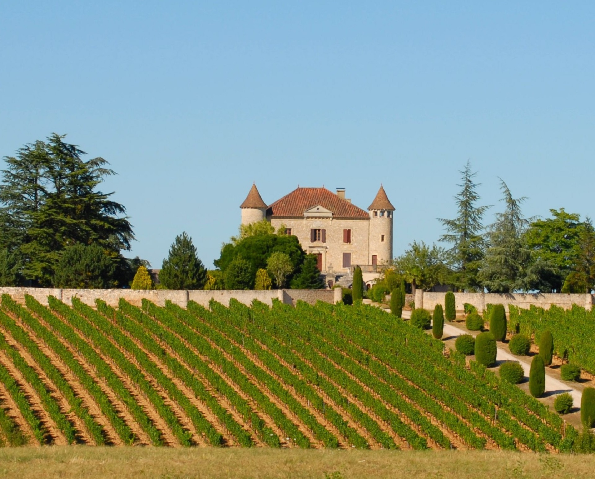 plant, no people, day, grow, sunlight, vineyard, nature, winery, tree, 1080P, outdoors, industry, field, grape, countryside, rows, beauty in nature, building exterior, HD Wallpaper