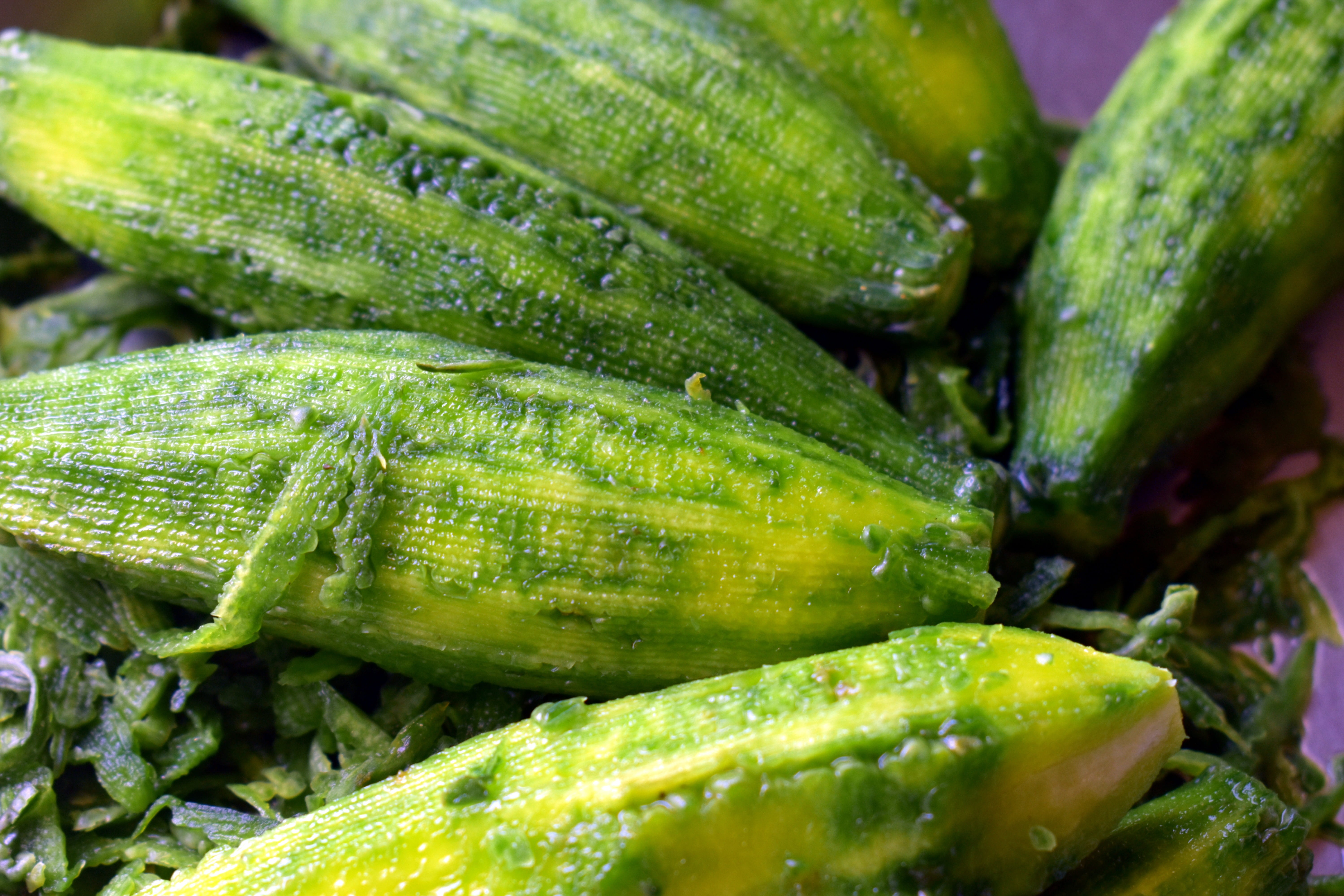 bitter melon, momordica charantia, food, cucumber, freshness, healthy eating, balsam-pear, market, farmers market, organic, green color, day, ripe, close-up, HD Wallpaper