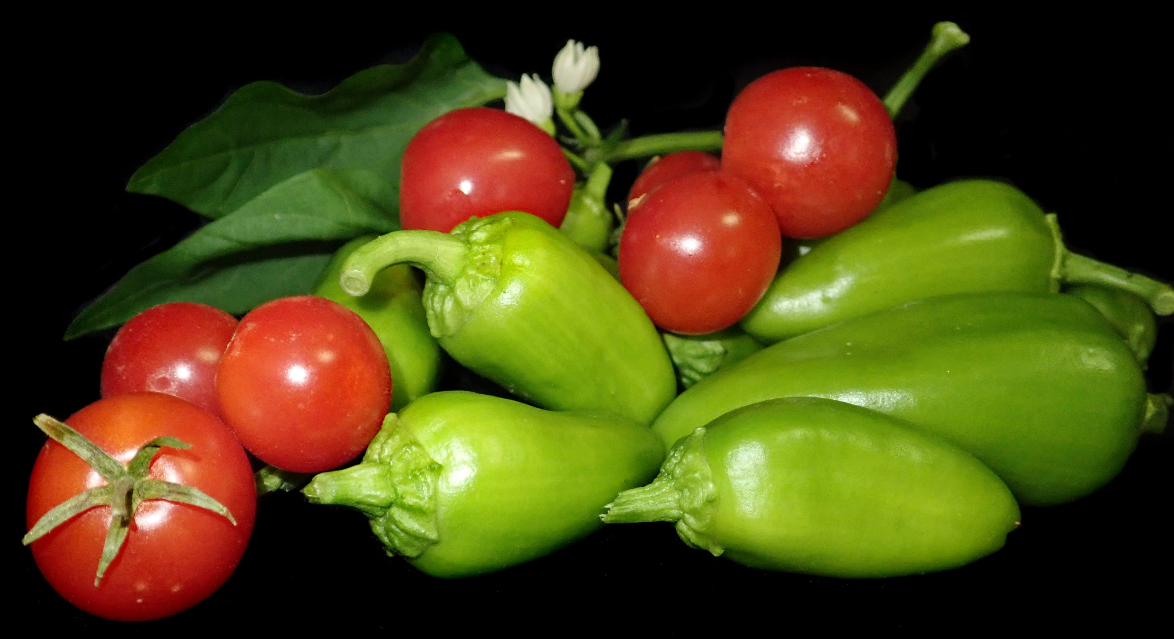 organic, healthy eating, cooking, large group of objects, black background, snack, food, ripe, capsicums, green, studio shot, tomato, vegetables, no people, HD Wallpaper