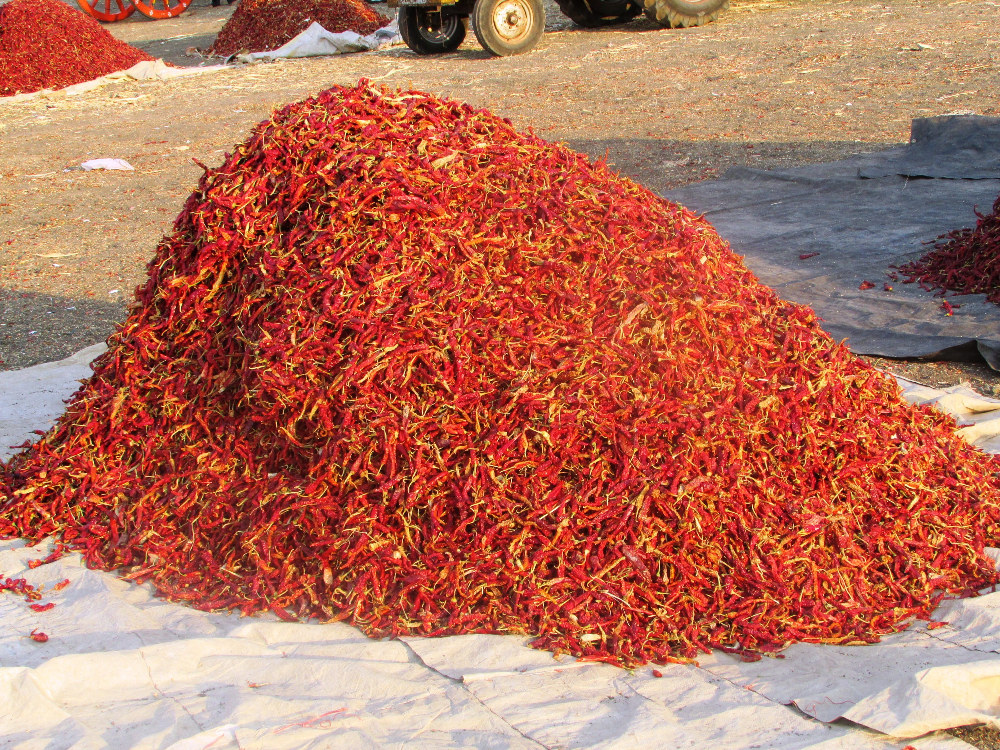 india, drying, day, dried food, hubli, spice, no people, pepper, solanaceae, heap, red chili pepper, abundance, food, market, chili, healthy eating, for sale, HD Wallpaper
