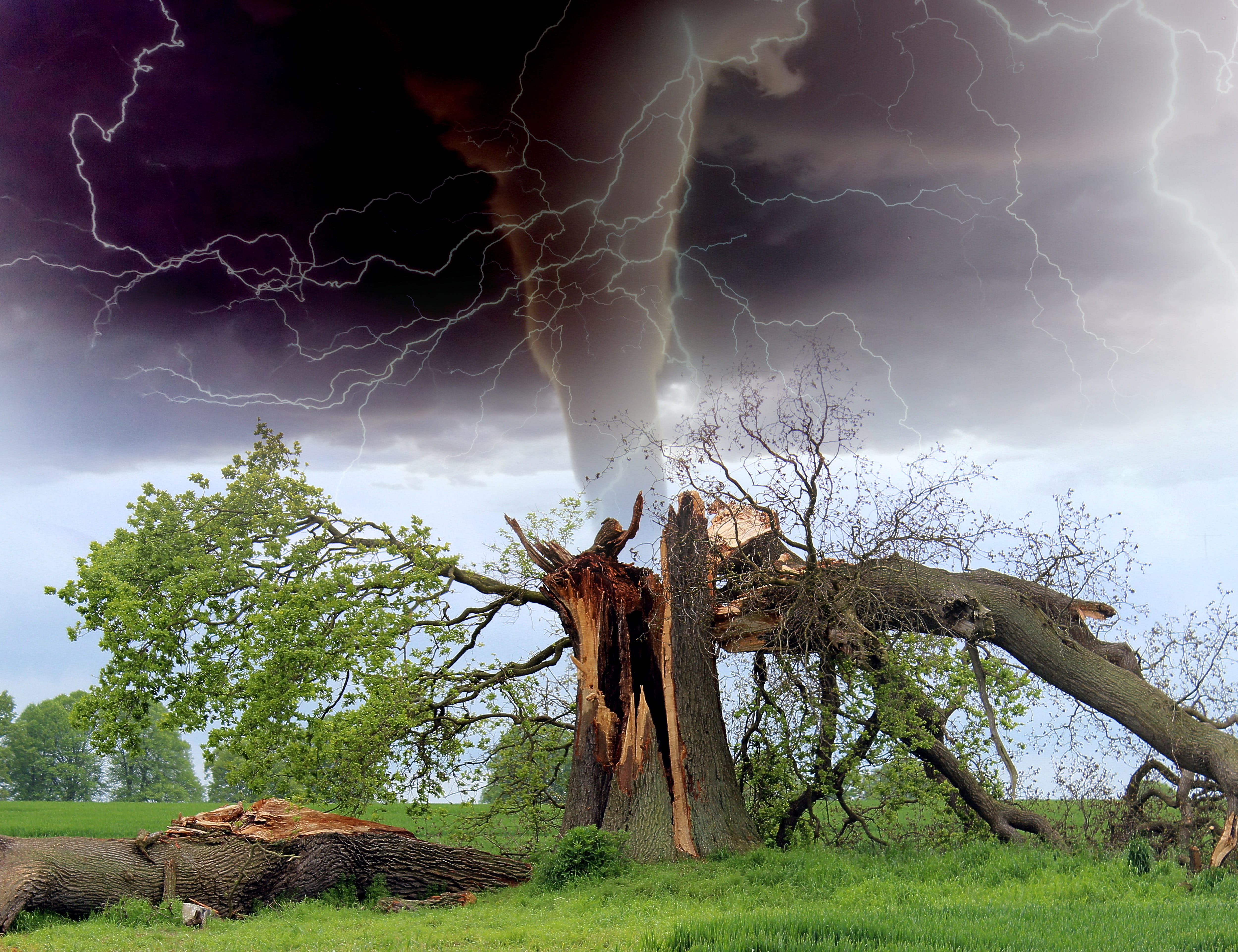 field, photo, tranquility, public domain, cloud - Sky, scenics - nature, Tornado, power in nature, land, lightning, destroying, no people, storm, dead plant, HD Wallpaper