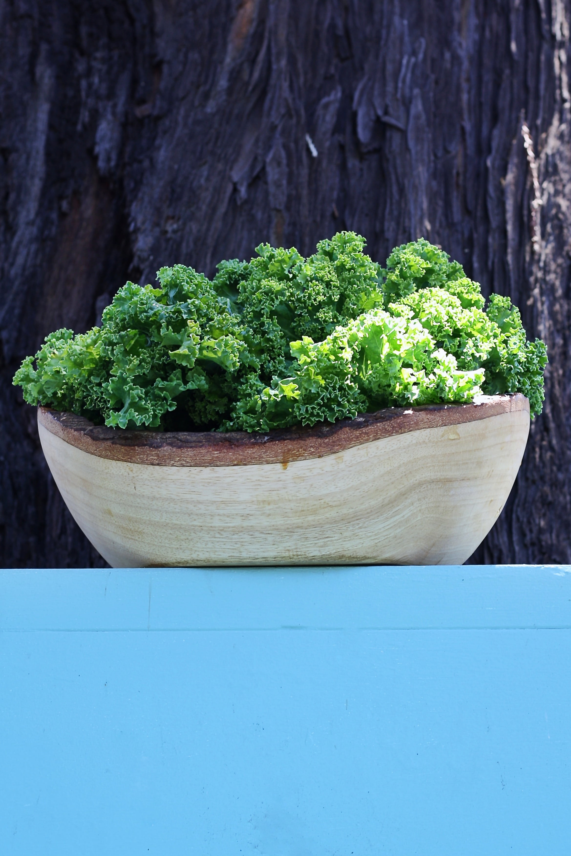 healthy eating, plant, vegetarian food, vegetable, chopped, food, leafed, high angle view, raw food, wood - material, healthy, natural, broccoli, close-up, Phone HD Wallpaper