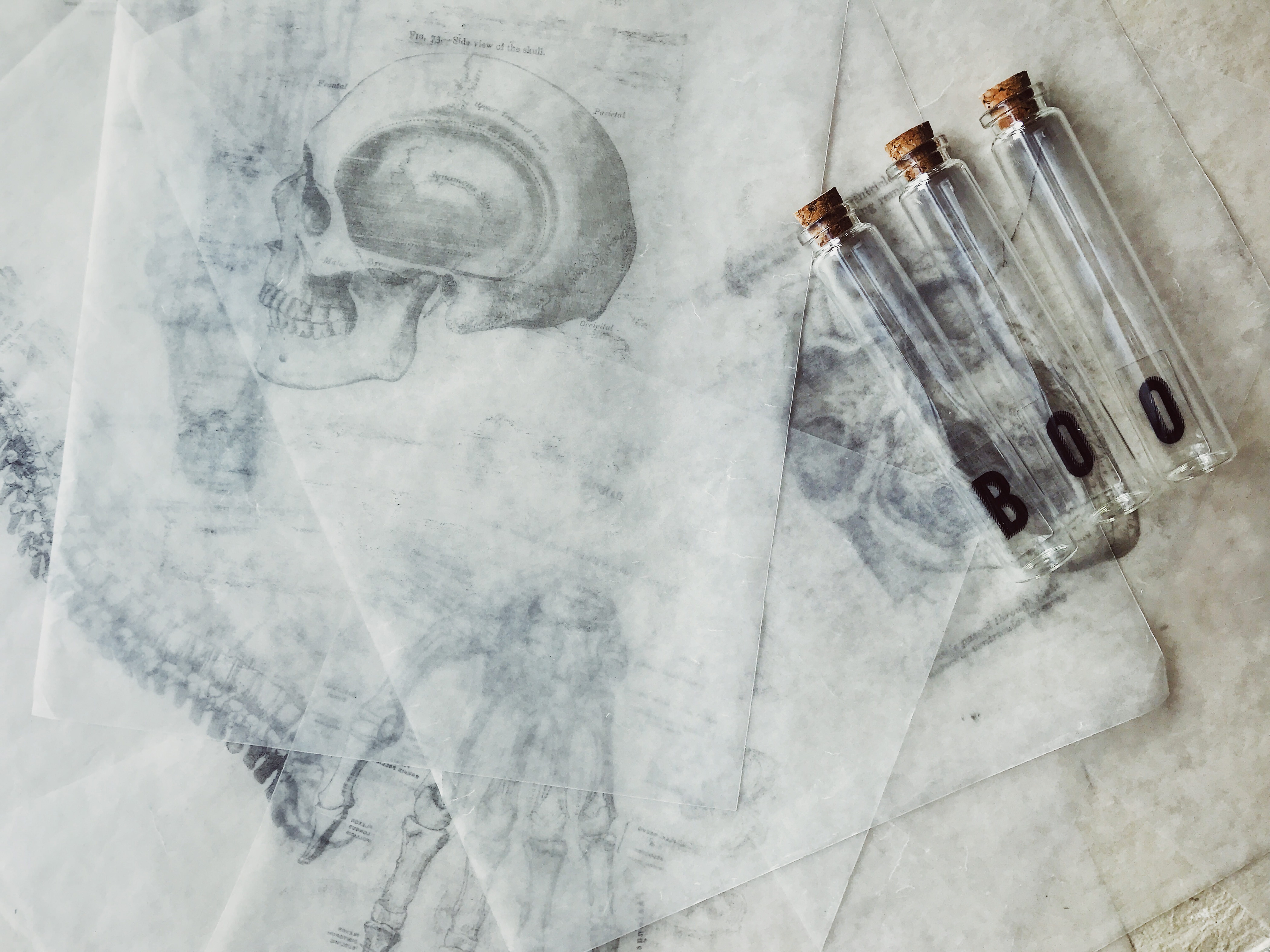 happy halloween, indoors, glass, test tube, boo, communication, skull, day, 8K, healthcare and medicine, paper, testtube, creepy, drawing - art product, HD Wallpaper
