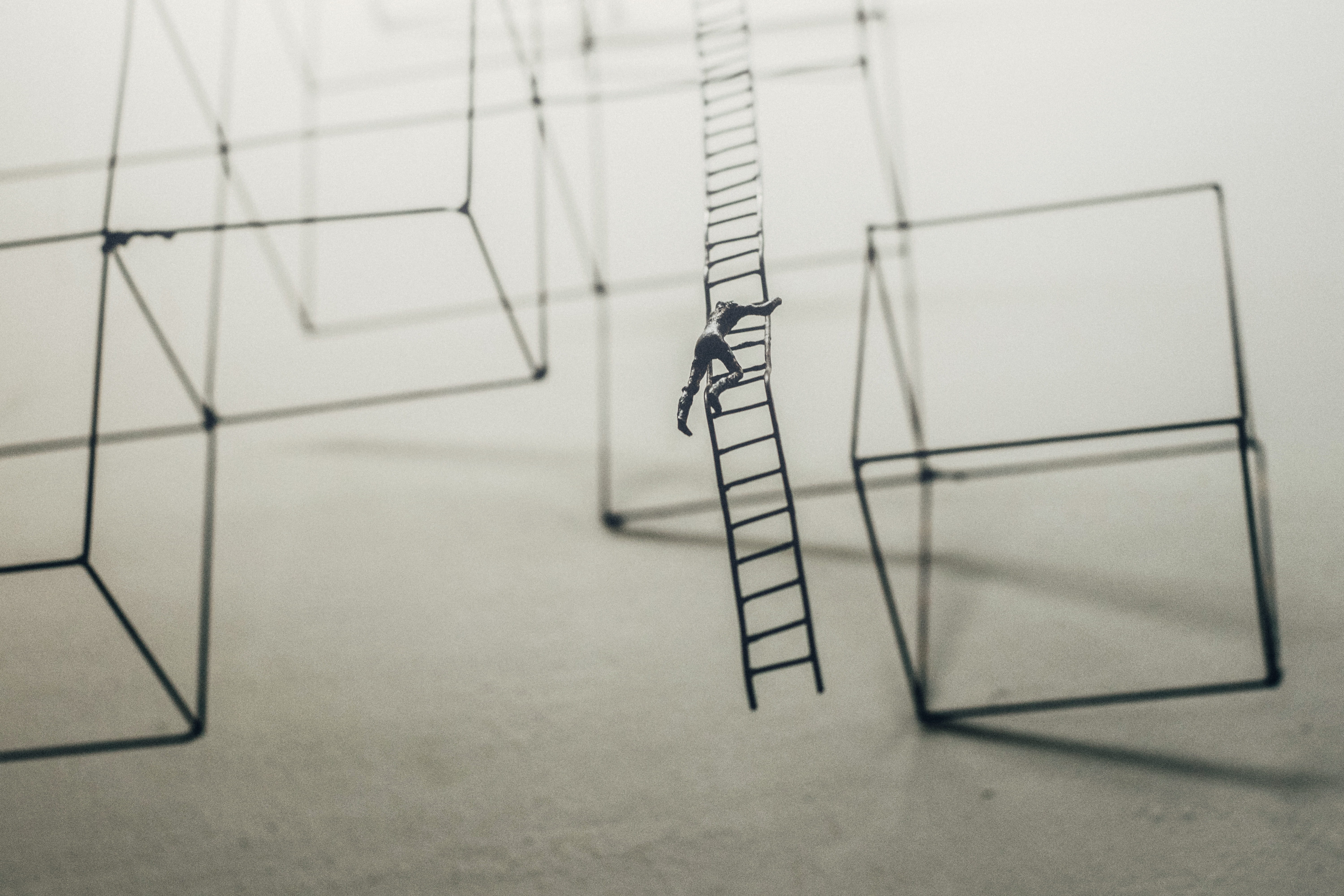 studio shot, object, paper, art, indoors, planning, sculpture, illustration, craft, handmade, no people, one animal, diagram, ladder, drawing - art product, HD Wallpaper
