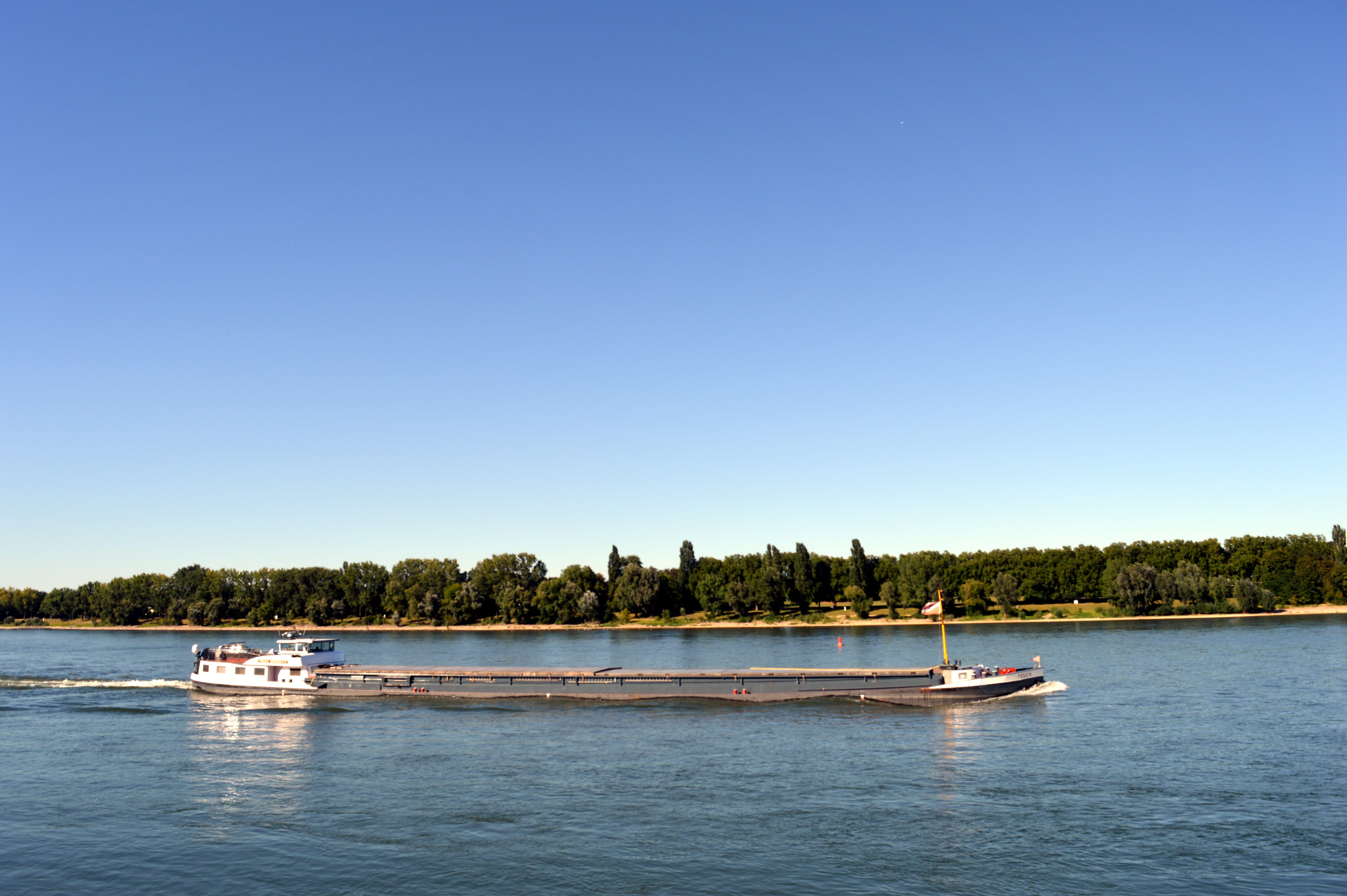 Rhine, shipping, rhine, frachtschiff, tree, outdoors, 5K, river, lake, mode of transportation, transport, plant, transportation, sunny, cargo ship, travel, HD Wallpaper