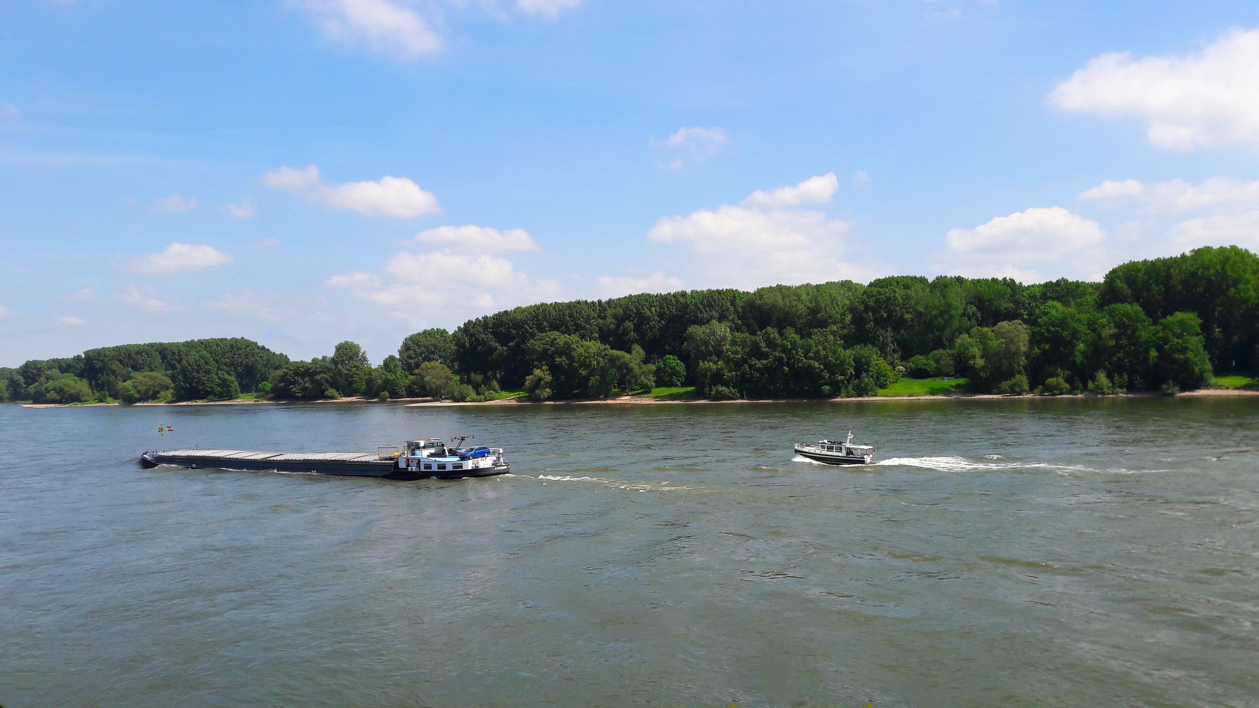 tree, scenics - nature, transportation, germany, fluent, travel, water, mode of transportation, landscape, frachtschiff, beauty in nature, rhine river, HD Wallpaper