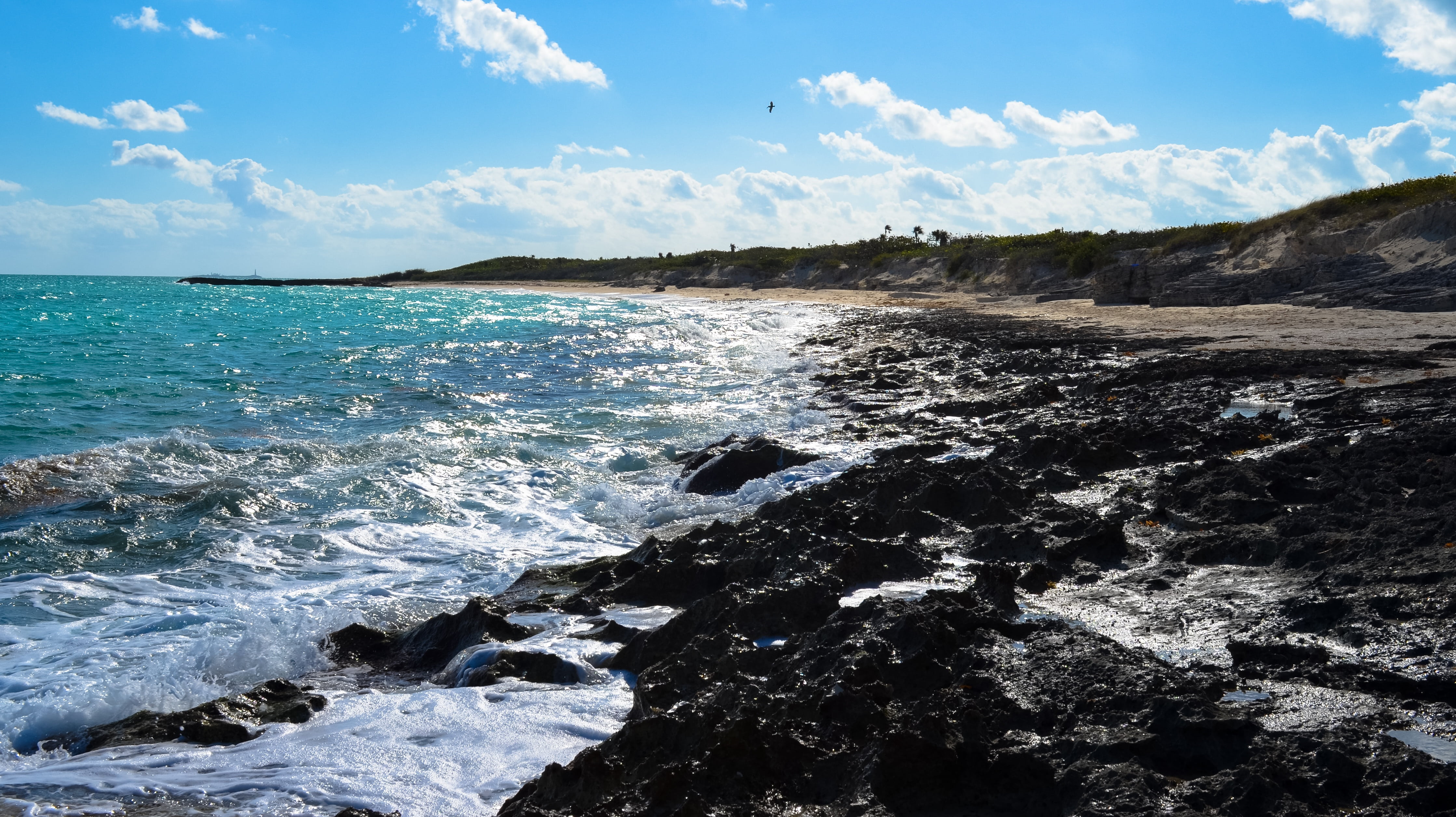 environment, scenics, coastline, sky, wave, animal wildlife, ocean, motion, land, rocky coastline, outdoors, tropics, beach, no people, blue, rock, day, HD Wallpaper