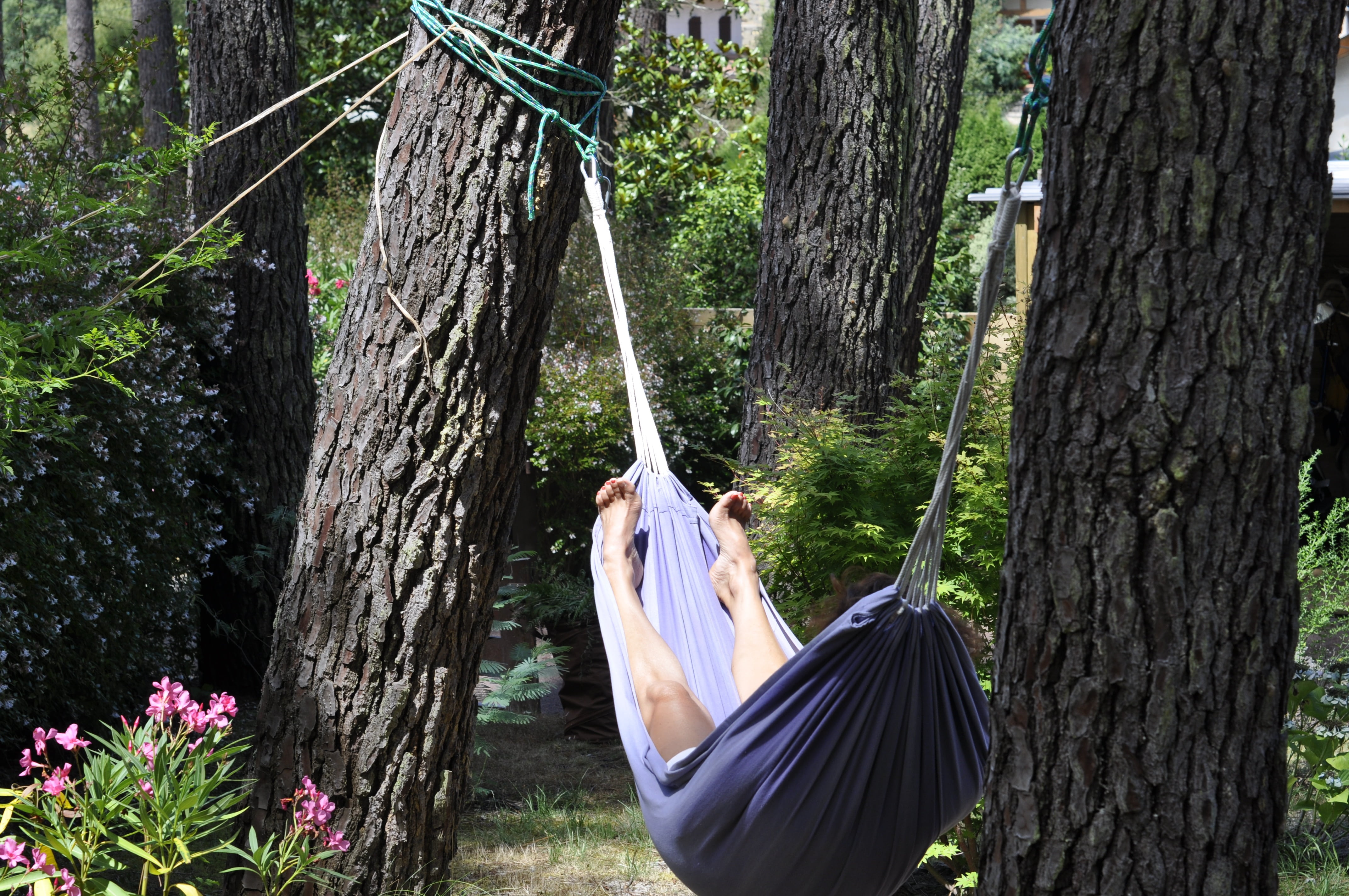 forest, plant, real people, women, hammock, idleness, standing, outdoors, nature, day, lying, trunk, young adult, hanging, lifestyles, flower, tree trunk, HD Wallpaper