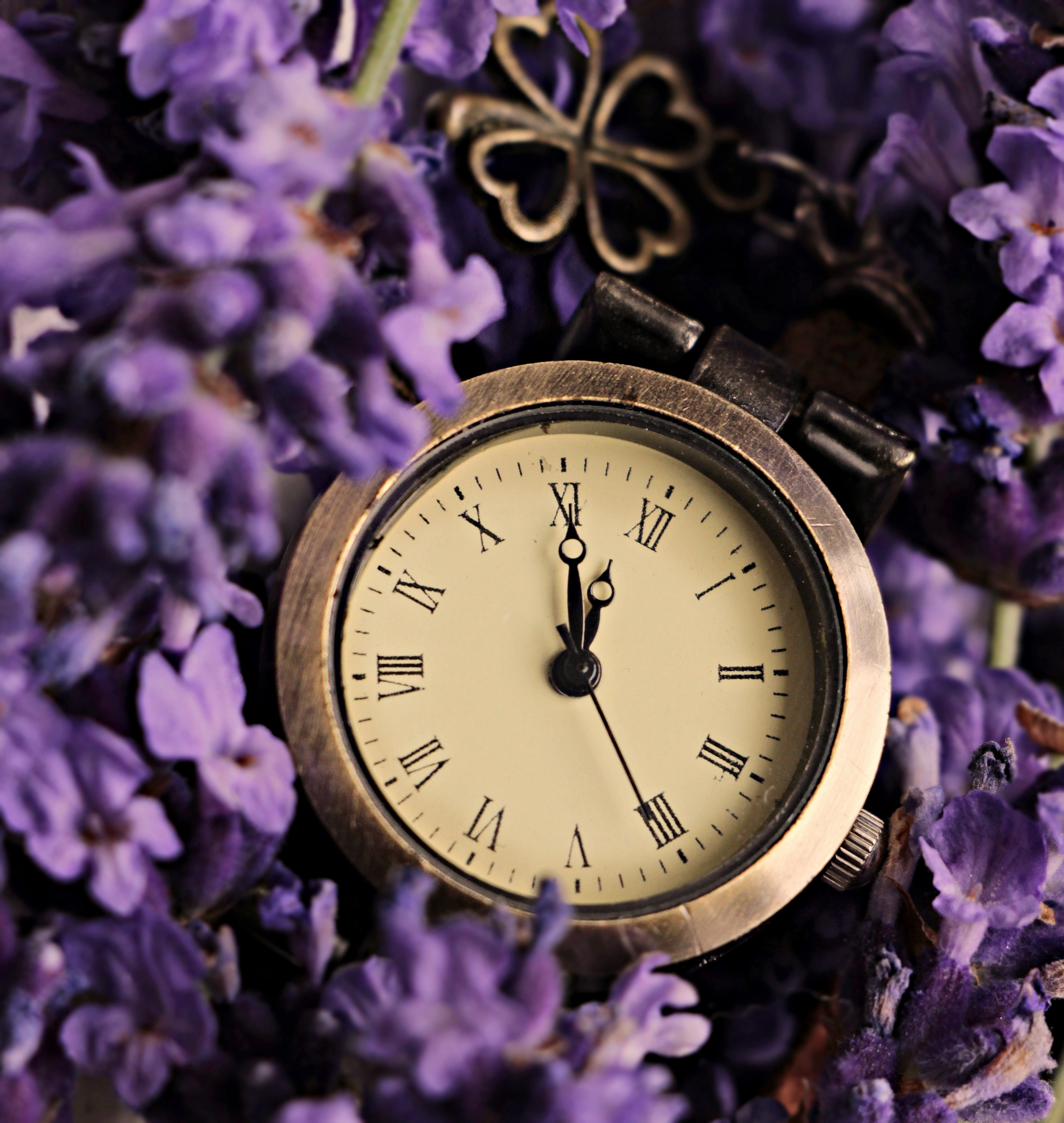 pointer, time, colored, timepiece, smell, fragrance, timekeeper, number, nature, analog, on time, moment, beauty in nature, watch, fragility, plant, purple, Phone HD Wallpaper