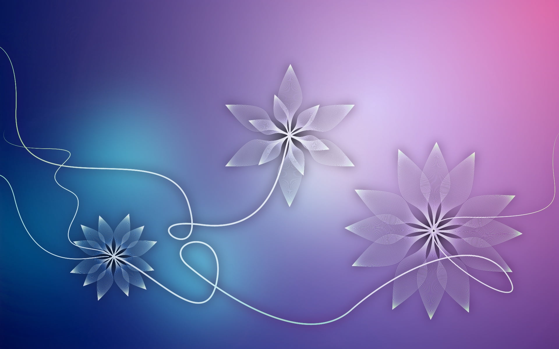white color, indoors, patterns, summer, vector, colored background, illuminated, elegance, decor, design, blue background, leaf, light, creativity, shape, HD Wallpaper