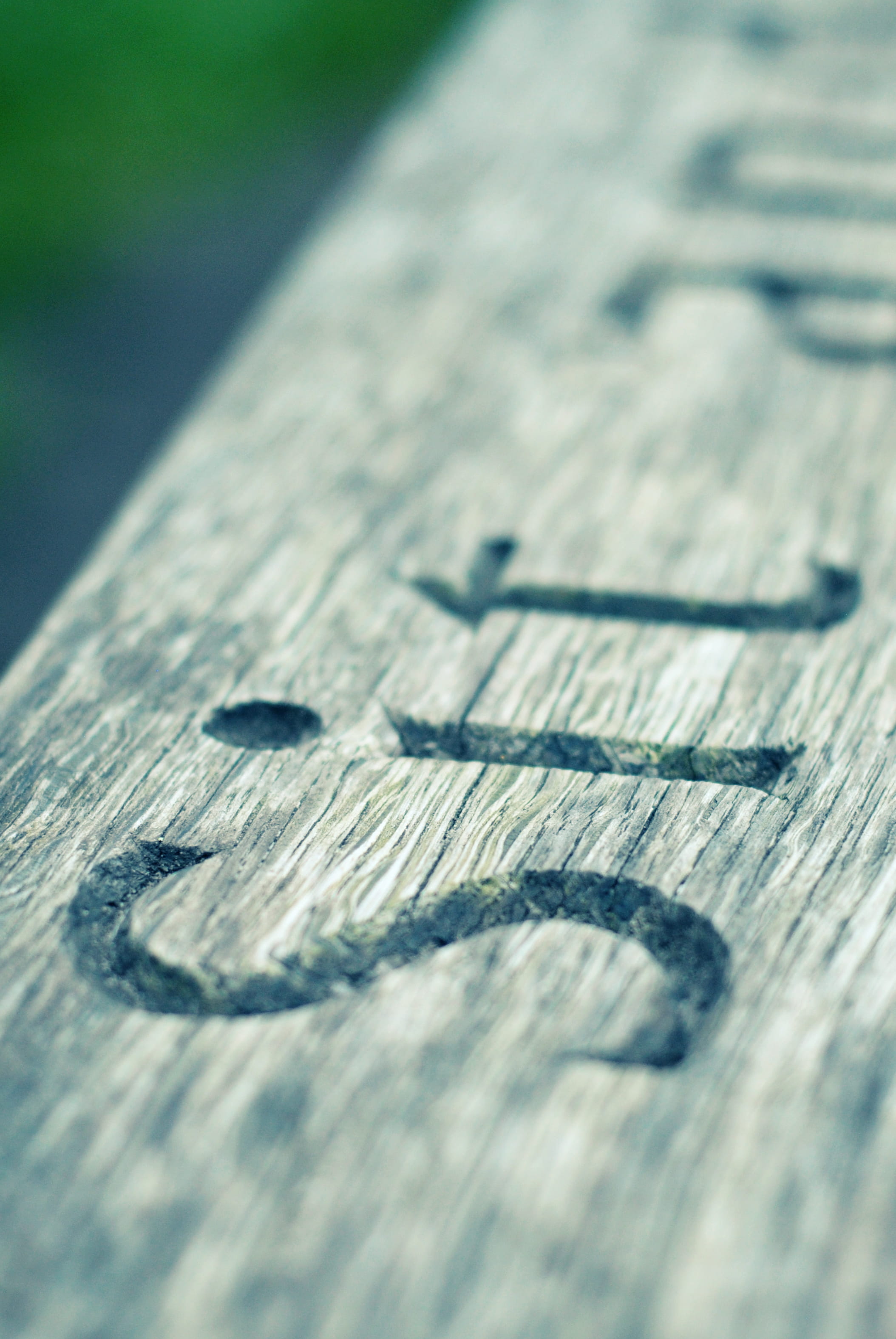 selective focus, 2K, metal, take time, sitting, silver colored, resting, wood - material, sit, calm, plank, unwind, relax, day, high angle view, extreme close-up, Phone HD Wallpaper