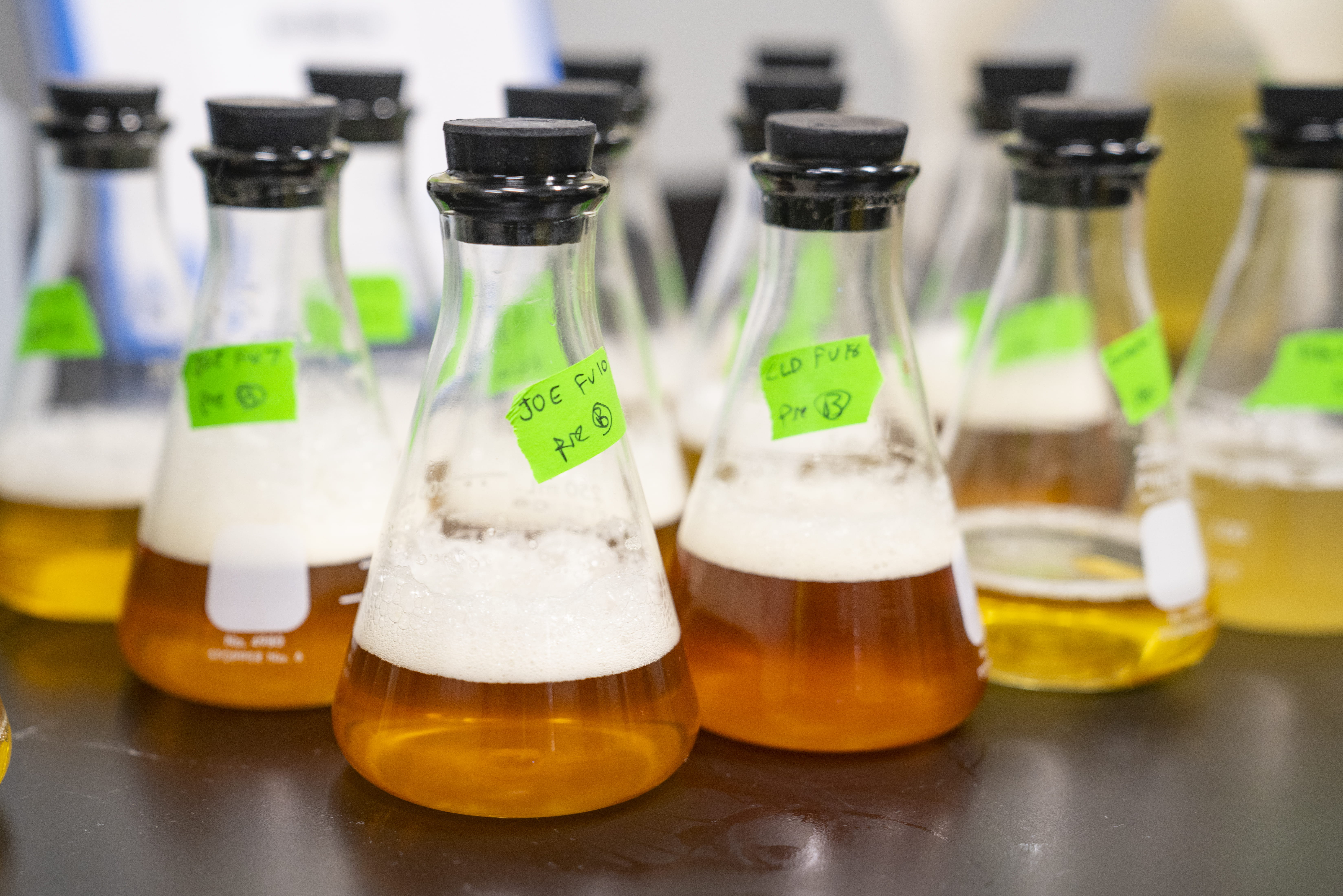 science, indoors, glass, alcohol, group of objects, lot, large group of objects, bottle, in a row, erlenmeyer, drink, container, research, close-up, still life, HD Wallpaper